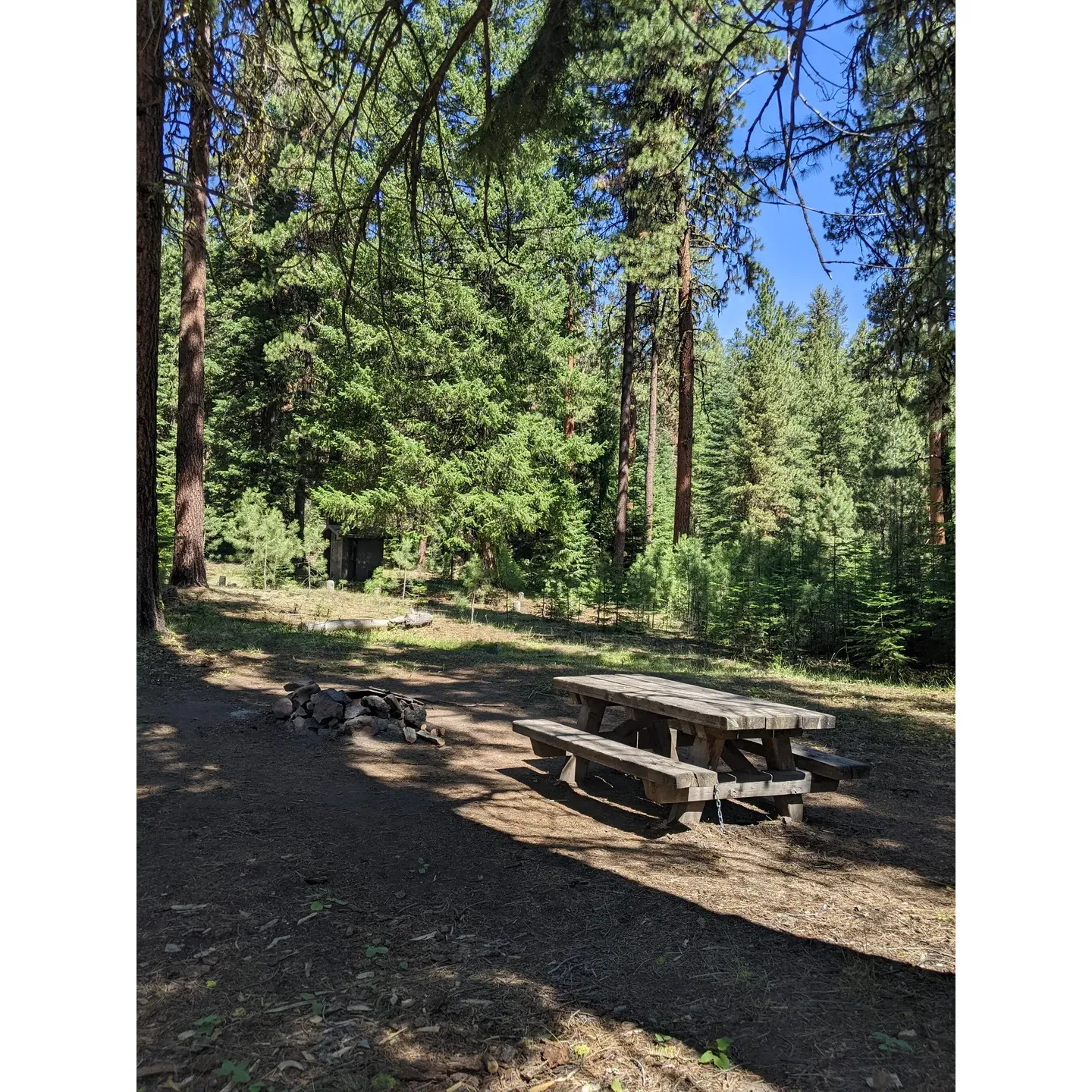 Wiley Flat Campground, with its scenic charm and quiet ambiance, offers a tranquil retreat for campers seeking to immerse themselves in the beauty of a pristine forest landscape. Cradled by a beautiful expanse of pine and fir trees, this serene campground is traversed by the delicate flow of Wiley Creek, providing a picturesque backdrop for the five available campsites.

Outdoor enthusiasts will appreciate the spaciousness of the four large campsites, designed to accommodate both individual campers and groups seeking a harmonious outdoor experience. With the presence of diverse wildlife such as birds, chipmunks, and butterflies, the campground is an idyllic haven for nature lovers and those looking to connect with the wilderness.

Guests commend the campground for its impeccable cleanliness and the availability of convenient amenities such as a pit toilet, ensuring a comfortable stay amidst the rustic surroundings. Despite the lack of potable water on site, campers are encouraged to come prepared, equipped with their own water supplies, to fully enjoy their dry camping adventure.

Admired for its tranquility, Wiley Flat Campground is an excellent choice for those in search of a peaceful vacation spot where the simplicity and beauty of the natural world create a perfect setting for relaxation and rejuvenation. So pack your essentials, leave no trace, and prepare to savor the blissful solitude of this delightful camping destination. Description by ChatGPT.