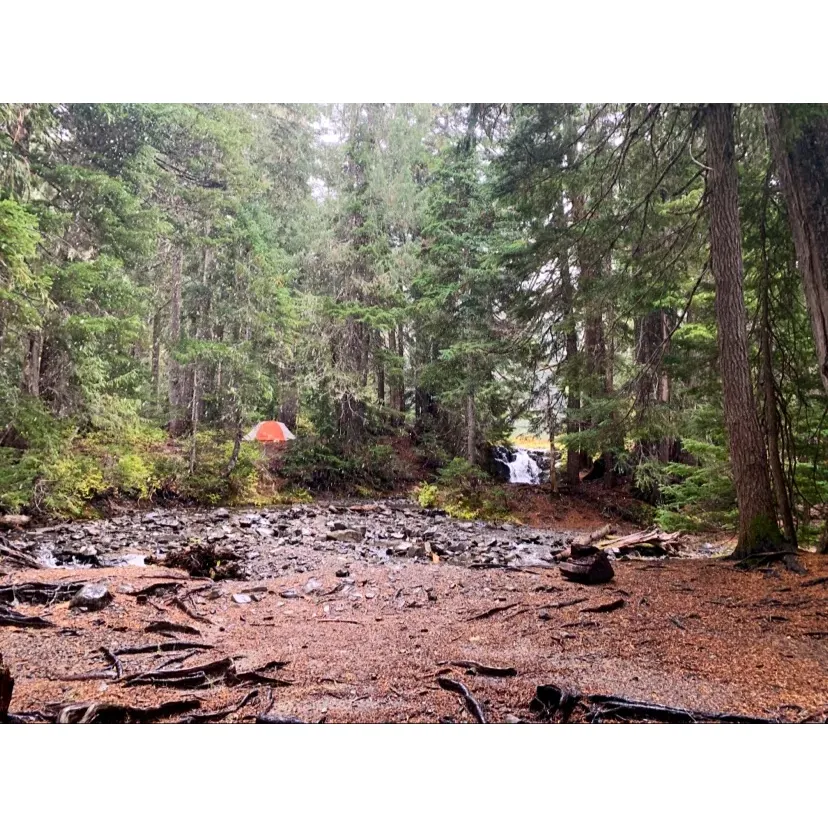 Sol Duc Park is a charming and idyllic campground for nature lovers and outdoor enthusiasts seeking a serene wilderness experience. Enveloped by lush forestry, the campgrounds offer beautiful treed sites with the unique benefit of duff-covered earth, providing a clean and natural cushion for tents that enhances the camping experience.

The park has been thoughtfully laid out to afford campers reasonably level sites suitable for setting up tents without the inconvenience of dirt, sand, or gravel. With many tenting areas located just a stone's throw from the river, campers are treated to the soothing sounds of flowing water, which also serves the practical purpose of providing a natural white noise, perfect for drowning out any nocturnal disturbances.

The close proximity to the river not only allows for easy access to water but also adds to the allure of camping within the park, with the gentle murmur providing a tranquil soundtrack to an evening under the stars. For nature's call in the night, a walk towards the outhouse is met with a spectacular nighttime sky that, on a moonless night, showcases a dazzling celestial display, offering campers a moment of wonder and connection with the universe.

While offering a rustic charm, campsites are conveniently arranged, and despite their cozy size, every spot ensures a genuine connection with the surrounding verdant habitat. The campgrounds create a habitat for not only the campers but also the local wildlife that contributes to the park’s vibrant ecosystem.

Sol Duc Park is truly a gem for those looking to immerse themselves in the great outdoors, providing an escape from the hustle and bustle of daily life, and presenting opportunities for soothing relaxation and peaceful contemplation by the river, enveloped in a canopy of green. Description by ChatGPT.