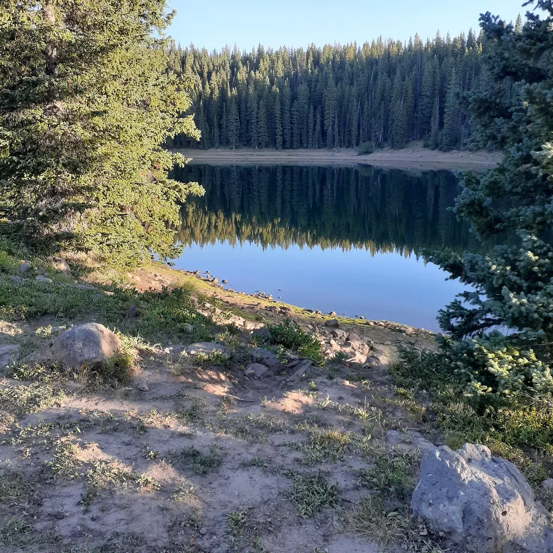 Twin Lake Dispersed Area is a serene outdoor haven that provides an ideal escape for nature enthusiasts and stargazers alike. Visitors are captivated by the splendor of the sparkling night sky, with stars that seem close enough to touch. The sense of anticipation for a return visit lingers long after the campfire embers have cooled.

This hidden gem of a campground is a paradise for anglippers who love to cast a line, for hikers who seek to explore winding trails, and for those who delight in the spontaneous joys of the wild. With ample space for setting up the perfect tent or parking a cozy camper, each site offers a personal slice of tranquility, with a generous buffer from neighbors, ensuring privacy and a sense of seclusion.

The Twin Lake Dispersed Area is distinguished by its simplicity and connection to the raw beauty of the environment. It is a place where campers can gather around a crackling fire pit, sharing stories and creating memories amidst a landscape that invites quiet reflection and appreciation of the outdoors.

It is also a locale where one can encounter awe-inspiring wildlife. Imagine the majesty of a bald eagle taking flight across the reflective surface of the lake—an experience of ‘ultimate coolness’ that leaves a lasting impression.

With an emphasis on the principles of ‘leave no trace’ and respect for nature, Twin Lake Dispersed Area continues to be a cherished destination that offers a pure, back-to-basics camping experience for those who find joy in outdoor simplicity and the unexpected surprises that only untamed nature can provide. Description by ChatGPT.