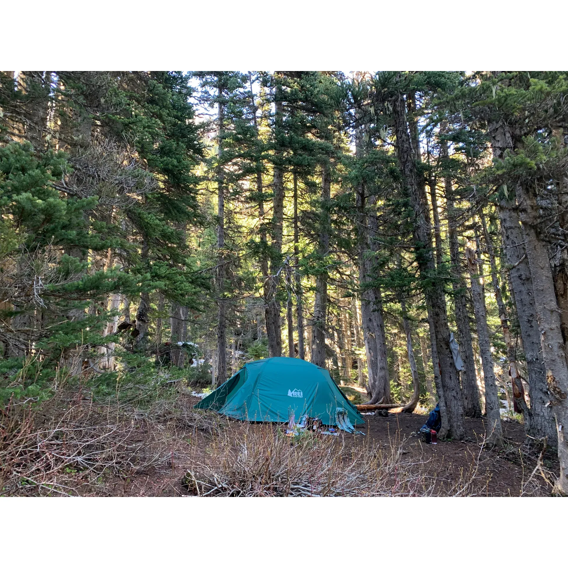 Camp Mystery is an enchantingly scenic campsite that delivers a tranquil backdrop for adventurers journeying through the Quilcene Trail. Surrounded by majestic old-growth trees that offer a comforting canopy of shade, this beautiful getaway provides a serene environment to refresh before continuing to explore the stunning landscapes. Its location proves to be a strategic waypoint for hikers aiming to conquer Mount Buckhorn, as it allows for a lighter trek towards Marmot Pass, freeing explorers from the weight of their gear for the final ascent.

This campsite is a cherished destination, with a stream providing a soothing ambiance and a replenishing water source during the early summer months. It offers a welcome retreat from the sun's rays, making it an excellent choice for both day and thru-hikers seeking solace amidst nature's beauty. The campground is dog-friendly, allowing your four-legged companions to enjoy the trails and the restorative wonders of the outdoors alongside you.

Distance and inclines do not deter the spirit of those visiting Camp Mystery, as the reward upon arrival includes stunning vistas that leave a lasting impression. With a variety of sites to choose from, the campground accommodates many visitors, although it retains an air of camaraderie amongst nature enthusiasts.

At night, the clear air may treat campers to a dance between the moon and the clouds, whilst during the day, a confluence of lush greenery and the gentle babble of the nearby creek creates an enchanting natural melody. Whether it rains or shines, Camp Mystery promises a memorable stay, a testament to the resilience and adaptability of those who venture into the wilderness.

Accessibility to this hidden gem may come as a rewarding surprise to those trekking the rocky terrain, as it emerges as an idyllic spot to rest and rejuvenate. Camp Mystery establishes itself as a prime choice for travelers who respect and appreciate the pristine environment it offers, ensuring that every trip up and down the trail is an extraordinary experience. Description by ChatGPT.