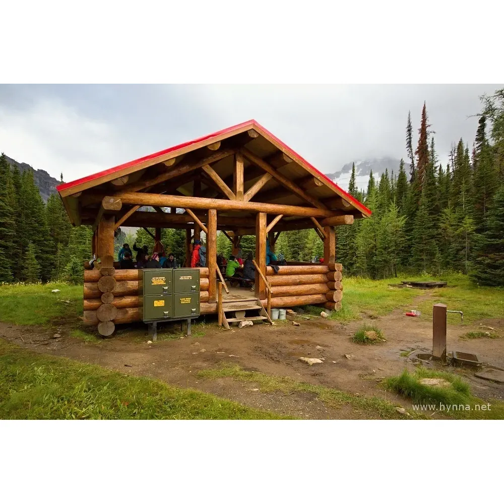 Lake Magog Backcountry Campground offers a serene camping experience with multiple amenities to ensure convenience and comfort in a rugged environment. Surrounded by the splendor of natural beauty, campers have access to spacious campsites, accommodating up to 40 tents, with proximity to essential facilities such as outhouses complete with toilet paper. 

Campers can indulge in culinary endeavors at the large cook shelter, which is equipped with bear lockers for safe food storage. While the water source is readily available, it's recommended to bring water treatment supplies to ensure potability. Strategically positioned campsites provide awe-inspiring views of the majestic Mt. Assiniboine, adding to the allure of this outdoor retreat.

The campground is designed to accommodate changes in weather, including unexpected snowfalls even in summer months, with elevated sites ensuring a drier experience as conditions evolve. Moreover, the mosquito presence is minimal, enhancing camper enjoyment without the burden of persistent pests.

For a touch of backcountry luxury, Lake Magog Campground is situated a mere 10-minute walk from the nearby Lake Magog lodge, where campers can treat themselves to an affordable beer and partake in the comforting tradition of afternoon tea between 4 and 5 pm— a charming perk of the campsite's remote yet welcoming atmosphere.

Reservations are recommended to secure a spot in this sought-after campground, and with good overflow capacity camping, even first come first served campers find a place to settle. Plan ahead, check the weather and smoke forecast, and for an easier journey, consider the convenience of a helicopter flight in or out of this pristine wilderness location. With its enchanting views, well-maintained grounds, and surprisingly functional facilities for a remote site, Lake Magog Backcountry Campground comes highly recommended for an unforgettable outdoor adventure. Description by ChatGPT.