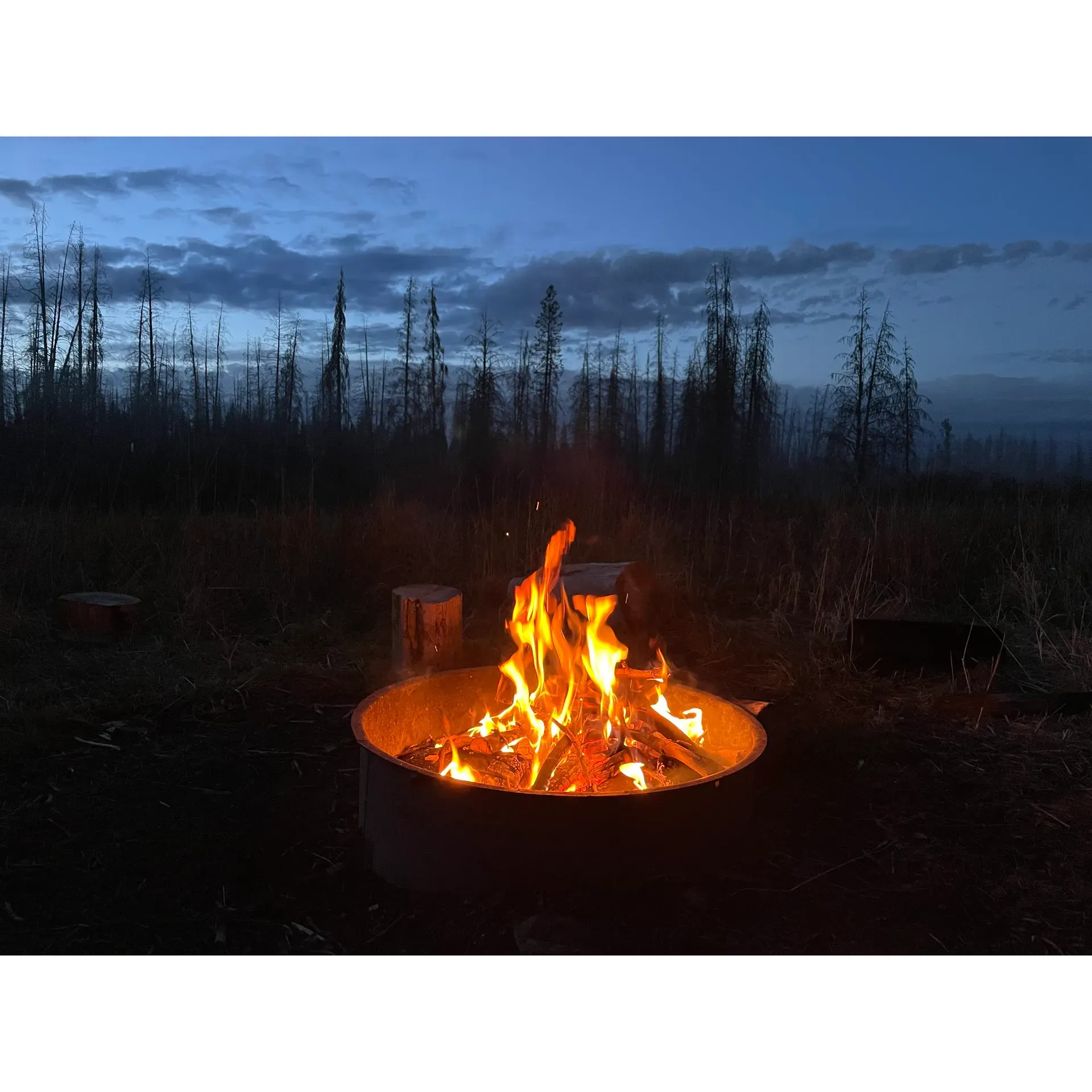 Grassy Lake Road Campsites offers a serene and cost-effective outdoor experience for nature lovers and adventure seekers alike. Ideally positioned as a launching point for explorations into the wilderness, this hidden gem provides free dispersed campsites, presenting travelers with the rare opportunity to immerse themselves in the magnificence of the great outdoors without the strain on the wallet.

Accessible by a scenic drive on a gravel road, each meticulously maintained campsite invites guests to set up their temporary home amidst the tranquility of the surrounding landscape. Upon arrival, visitors are greeted with essential amenities to enhance their stay, including a public restroom stocked with toilet paper, a robust picnic table for shared meals under the open sky, and a fire ring that serves as the heart of evening gatherings, storytelling, and marshmallow roasting.

An abundance of prime firewood is generously provided by nature’s bounty, simply awaiting campers willing to gather it for a cosy evening fire. Among the various campsites, campsite #1 stands out as a favorite, boasting multiple individual spaces to accommodate a suitable number of campers, promising a comfortable and intimate setting.

For those looking for an experience that combines convenience with rugged beauty, campsite #1 is merely a stone's throw away from local amenities, including a lodge and soothing hot springs. Furthermore, its location serves as an excellent midpoint for those planning to venture into the iconic Yellowstone and Grand Teton National Parks, each only an hour's drive away.

Picture yourself enveloped by the golden splendor of autumn leaves, breathing in the crisp mountain air, all while taking delight in the grandeur of panoramas that unfold in every direction. Grassy Lake Road Campsites is more than just a place to pitch your tent; it is a base where memories are made, and the spirit of adventure is reignited, all at no cost to the explorer at heart. Each campsite, with its dual-capacity arrangement, offers ample parking for a convivial congregation of adventure vehicles, ensuring that every moment spent here is one of ease, comfort, and natural beauty. Description by ChatGPT.