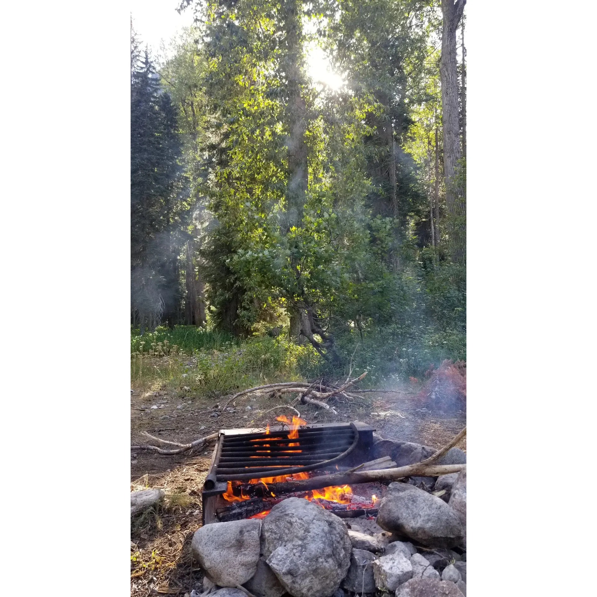 Phelps Creek Campground/Horse Camp is a serene outdoor escape that resonates with families and nature enthusiasts seeking a connection with the great outdoors. The campground is a popular choice for both relaxation and adventure, set against the picturesque backdrop of a gently flowing creek that delights visitors, especially children who find joy in its playful waters.

Guests revel in the abundance of hiking trails that lace through the landscape, offering opportunities to explore and immerse in the natural beauty that surrounds the campground. These trails cater to all levels of hikers, keeping the avid trekker satisfied with a challenge and providing leisurely strolls for those looking to bask in the tranquil environment.

The campsites at Phelps Creek provide ample shade, giving guests a cool retreat from the sun's rays during the warmth of the day—perfect for families to unwind and savor the peaceful atmosphere. Phelps Creek Campground not only caters to camping enthusiasts but also to horseback riders, with dedicated horse camp facilities that welcome equestrians to embark on a unique outdoor adventure, creating lasting memories with every trot along the scenic paths.

With a harmonious blend of natural allure and thoughtfully arranged amenities, Phelps Creek Campground/Horse Camp establishes itself as a splendid choice for campers looking to enjoy the simplicity and restorative qualities of outdoor living. Description by ChatGPT.