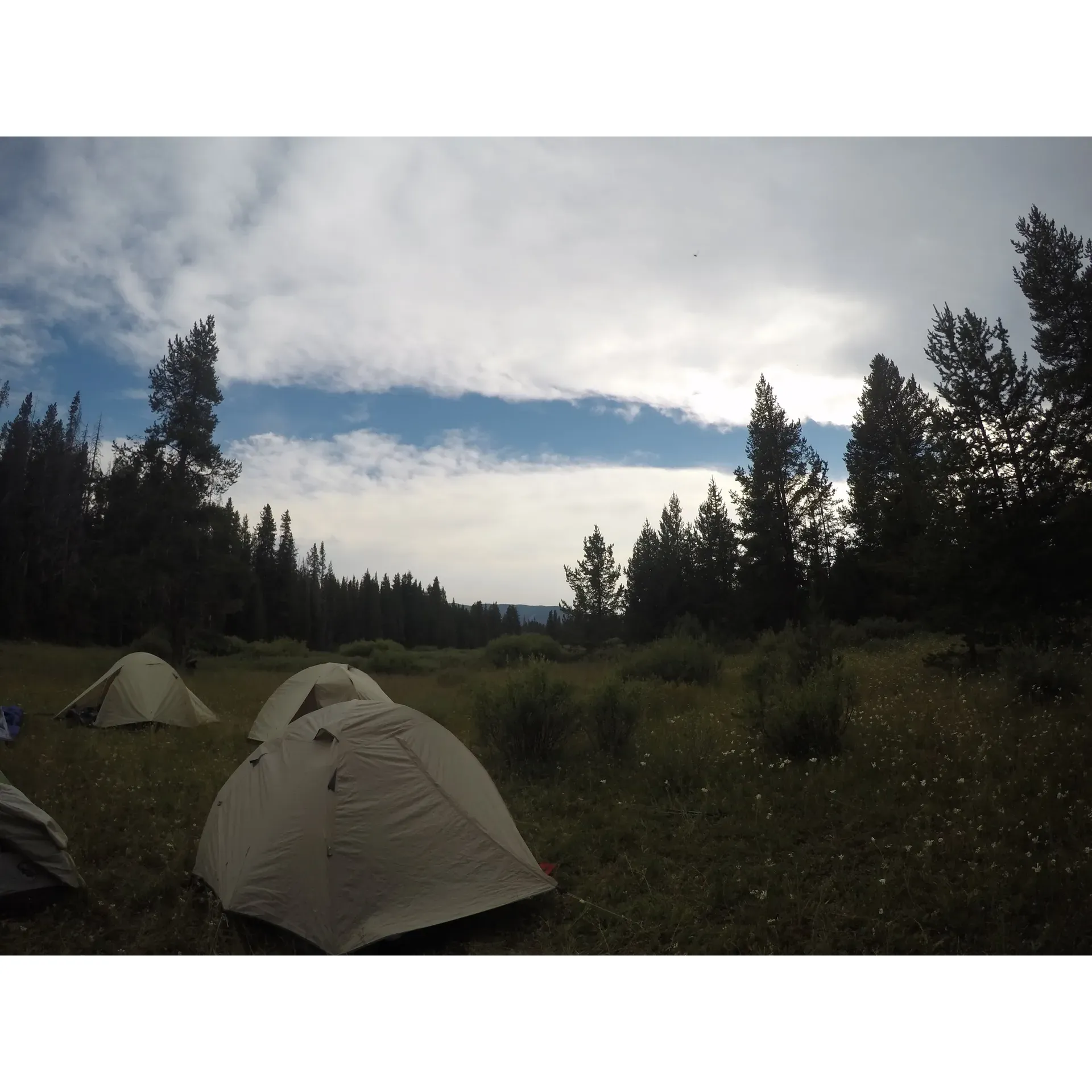 Beaverdam Meadow offers a serene camping experience for outdoor enthusiasts. Just a short and invigorating 10-minute jaunt from the beaten path, this campsite invites visitors to immerse themselves in the open embrace of the great outdoors. Here, tents rise like temporary temples to adventure in the heart of the meadow, basking in generous sunlight throughout the day, providing an ideal setting for sun-seekers and nature lovers alike.

The campsite's proximity to a picturesque river merely a stone's throw away allows for easy access to water activities and ambient evenings spent around the crackling warmth of the fire pit. The river's soothing soundtrack enhances the sense of escape, as campers find themselves enveloped in a pristine environment that promises both tranquility and the simple joys of camping life. 

Visitors to Beaverdam Meadow are invited to partake in the splendor of a landscape where flora and fauna flourish, where days are filled with exploration and the nights are alive with the flickering dance of fireflies. This is a place where memories are made under the open sky, laughter mingles with the whispering breeze, and the true spirit of outdoor camaraderie is alive and well. Description by ChatGPT.