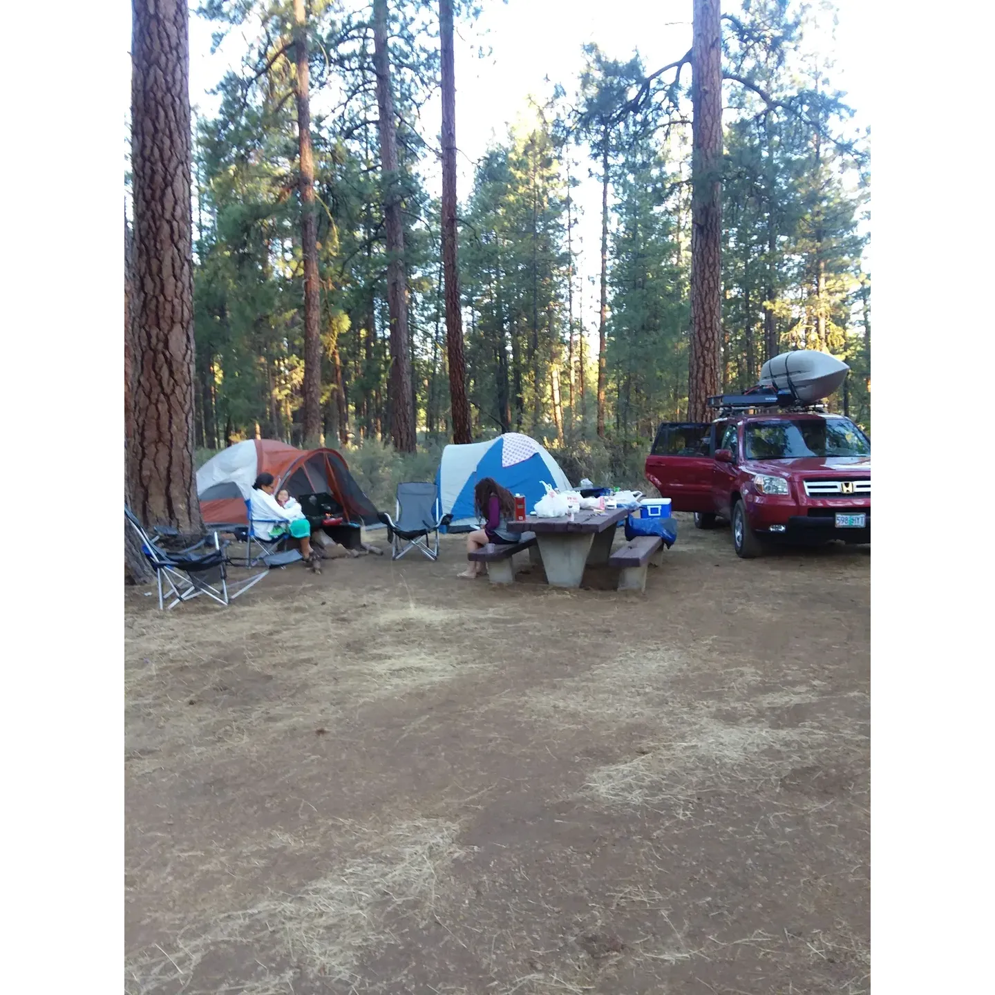 Indian Ford Campground offers a tranquil retreat for those seeking an authentic Central Oregon camping experience. With easy access off the main highway, it serves as the perfect pitstop for cross-state travelers and nature enthusiasts alike. The spacious campsites grant privacy and a sense of seclusion, ensuring a serene outdoor experience.

Visitors to this rustic hideaway can enjoy a myriad of trails right at their doorstep, primarily frequented by cyclists but also inviting to hikers eager to explore the serene surroundings. The expansive natural landscape that envelops the campground becomes a breathtaking backdrop for both adventure and relaxation.

Cleanliness and peace are hallmarks of the Indian Ford Campground, providing a well-maintained setting for campers to unwind. The atmosphere is serene, allowing for a restful night under the stars. The peacefulness extends to fellow campers as well, who contribute to the quiet environment, creating a harmonious camping community.

Additionally, the campground's value is enhanced by its proximity to a variety of attractions, allowing campers to enjoy the scenic beauty and recreational activities that Central Oregon has to offer.

When planning your stay, remember to bring water to complement the basic amenities that include a clean pit toilet. Embrace the opportunity to disconnect from the distractions of daily life and immerse yourself in the great outdoors at Indian Ford Campground, a truly restful and affordable escape. Description by ChatGPT.