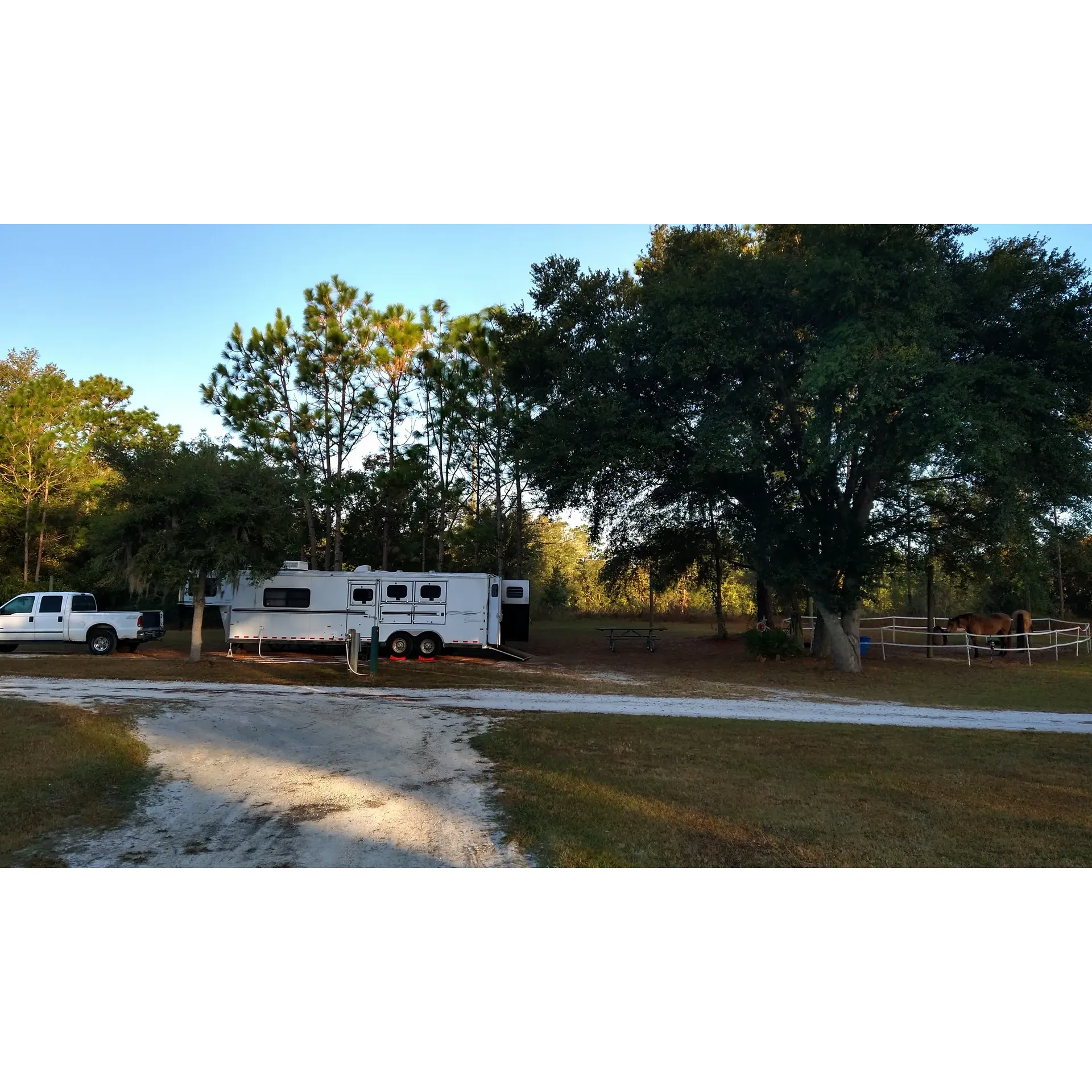 Ross Prairie Campground is a serene and charming outdoor retreat perfectly suited for those looking to explore the great outdoors with the added comfort of modern amenities. Strategically situated near SR200, it offers convenient access while providing a picturesque backdrop for a tranquil camping experience. The campground is a haven for equestrian enthusiasts, boasting an array of well-maintained riding trails that welcome horse riders of all experience levels. The close-knit equestrian community here ensures a bustling atmosphere where like-minded individuals can share their passion for horseback riding.

Adorned with sprawling natural landscapes, this small but splendid campground offers spacious pull-through sites equipped with electric hookups, including 50, 30, and 20 amp options, and water connections. Additionally, the inclusion of a practical dump station caters to the needs of campers, making journeys comfortable and hassle-free.

Sustainability-conscious campers with solar rigs will appreciate the open spaces that allow for ample sun exposure. Moreover, a single, well-maintained shared restroom facility services both day park visitors and campers, ensuring amenities are within reach.

Peaceful and relaxing, Ross Prairie Campground boasts easy access to the Florida Greenway trail, a paradise for those who seek to take in the scenery through hiking, biking, or horseback riding. While the site is a bustling hub for riders, it retains a sense of calm and quiet, ideal for those wishing to unwind and relax in a natural setting.

Camp hosts are known for their friendliness and diligence, eagerly providing assistance to ensure a smooth and enjoyable visit for all guests. Each campsite offers the comfort of a personal tree for shade and a fire ring for cozy evenings, inviting you to relax under the stars.

This hidden gem embodies the peacefulness of nature, fused with the conveniences of modern camping. With easy access to nearby Dunnellon, visitors can explore local dining options, shop for essentials, and refuel as needed. Ross Prairie Campground is a delightful getaway where the adventures of the trails meet the comforts of home. Description by ChatGPT.