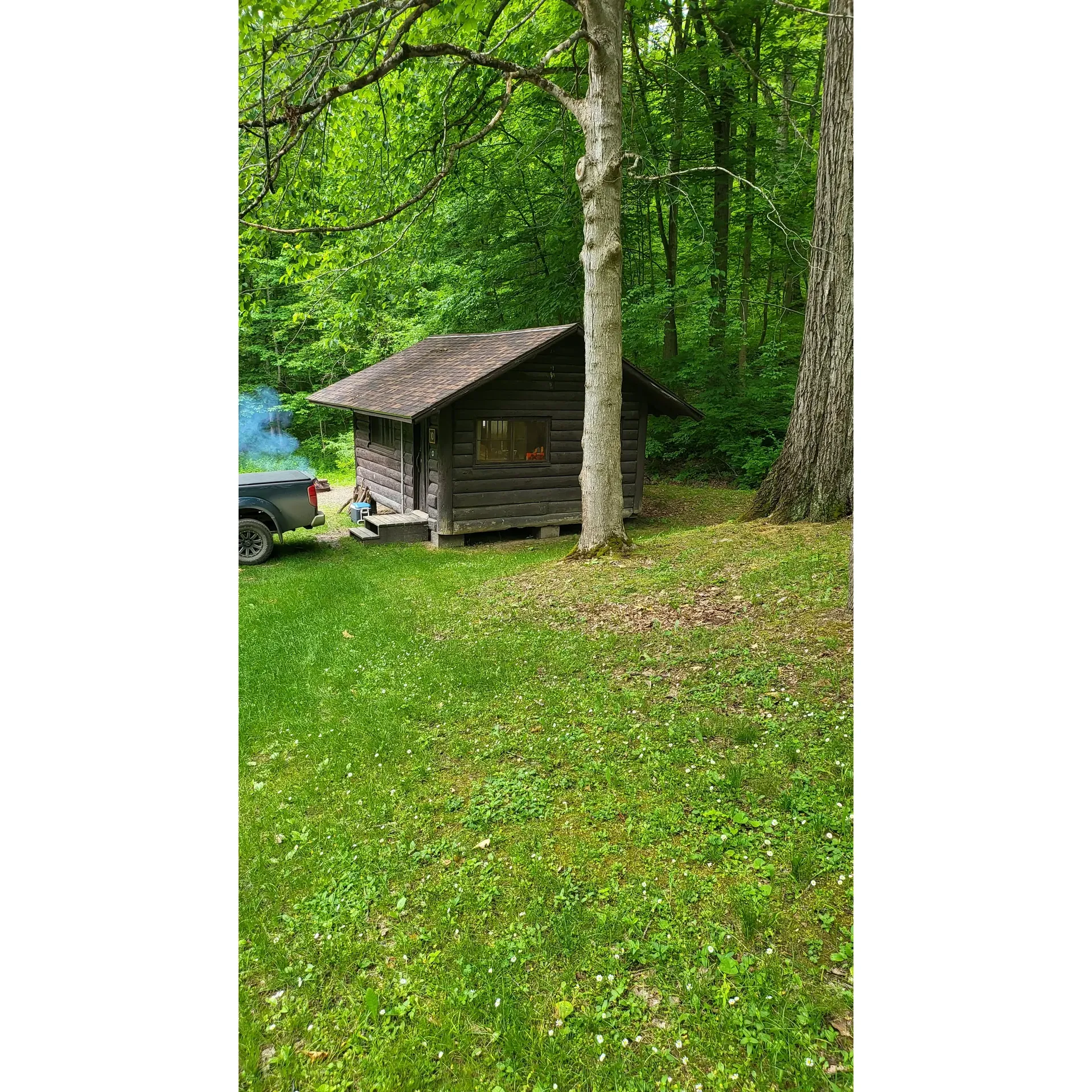 E Cabins at Letchworth State Park offer a delightful retreat for those seeking tranquility away from the hustle and bustle of popular tourist spots. These cabins provide an intimate experience with nature, where privacy and peacefulness are paramount. Set along a lone dirt road, the E Cabins are distanced from one another, ensuring that each group of guests enjoys their own spacious woodland haven.

Accommodating groups comfortably, these cabins are perfect for friends eager for adventure or a close-knit family stay. With a patina of rustic charm, they encapsulate the essence of a truly immersive forest experience. Smaller trails in close proximity make for a serene and personal encounter with nature's raw beauty, where sightings of wildlife such as raccoons and deer add to the enchanting experience.

Accessibility to these secluded cabins is streamlined through the parade grounds entrance off 438, leading you directly to this quiet sanctuary. A place where time slows down, the E loop is celebrated for its stillness and the sense of solace it provides to visitors. Moreover, the thoughtful presence of park rangers ensures guest safety and adds a layer of reassurance while allowing for uninterrupted privacy.

For those who prioritize a serene and secluded getaway, E Cabins at Letchworth State Park stand as a premier choice, inviting guests to forge unforgettable memories in the heart of nature's gentle embrace. Description by ChatGPT.