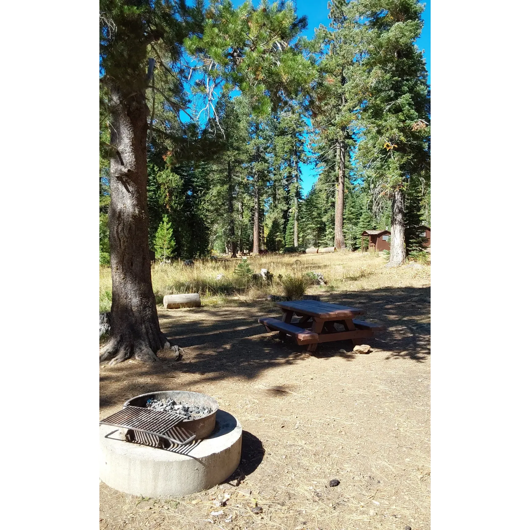 Salmon Creek Campground unfolds as an outdoor enthusiast's haven situated in the serene expanse of the Tahoe National Forest. It stands as one of the premier destinations for campers seeking a scenic retreat with spacious accommodations suitable for RVs. With expansive sites and essential amenities, this campground offers a blend of simplicity and backcountry charm.

The journey to the campground is an adventure in itself, presenting a drive surrounded by breathtaking natural vistas. Upon arrival, visitors are welcomed into a peaceful sanctuary that cherishes the quietude and beauty of the wilderness. The campground's ample sites provide a certain sense of seclusion and intimacy with nature, ensuring a personal and memorable camping experience.

First-time campers and seasoned adventurers alike recognize the tranquility that pervades this location, appreciating the chance to disconnect from daily life and reconnect with nature. With its location in the heart of the Sierra Buttes, campers can gaze upon magnificent peaks and relish the crisp, fresh air of the alpine environment.

Outdoorsy folks will find delight in exploring the surrounding landscape, where hiking trails meander through the forest, leading to stunning alpine lakes that capture the sunshine and reflect the clear blue skies. Off-road vehicle enthusiasts have access to myriad tracks, ready to be traversed, providing a unique way to discover spectacular vistas and hidden corners of the forest.

Providing access to sublime scenery and ensuring a refuge where one can relish in the vastness of the Sierras, Salmon Creek Campground is more than just a place to pitch a tent or park an RV – it embodies a slice of natural paradise for those seeking adventure amidst peace and quiet. Visitors depart with fond memories and a renewed appreciation for the serene majesty of the great outdoors. Description by ChatGPT.