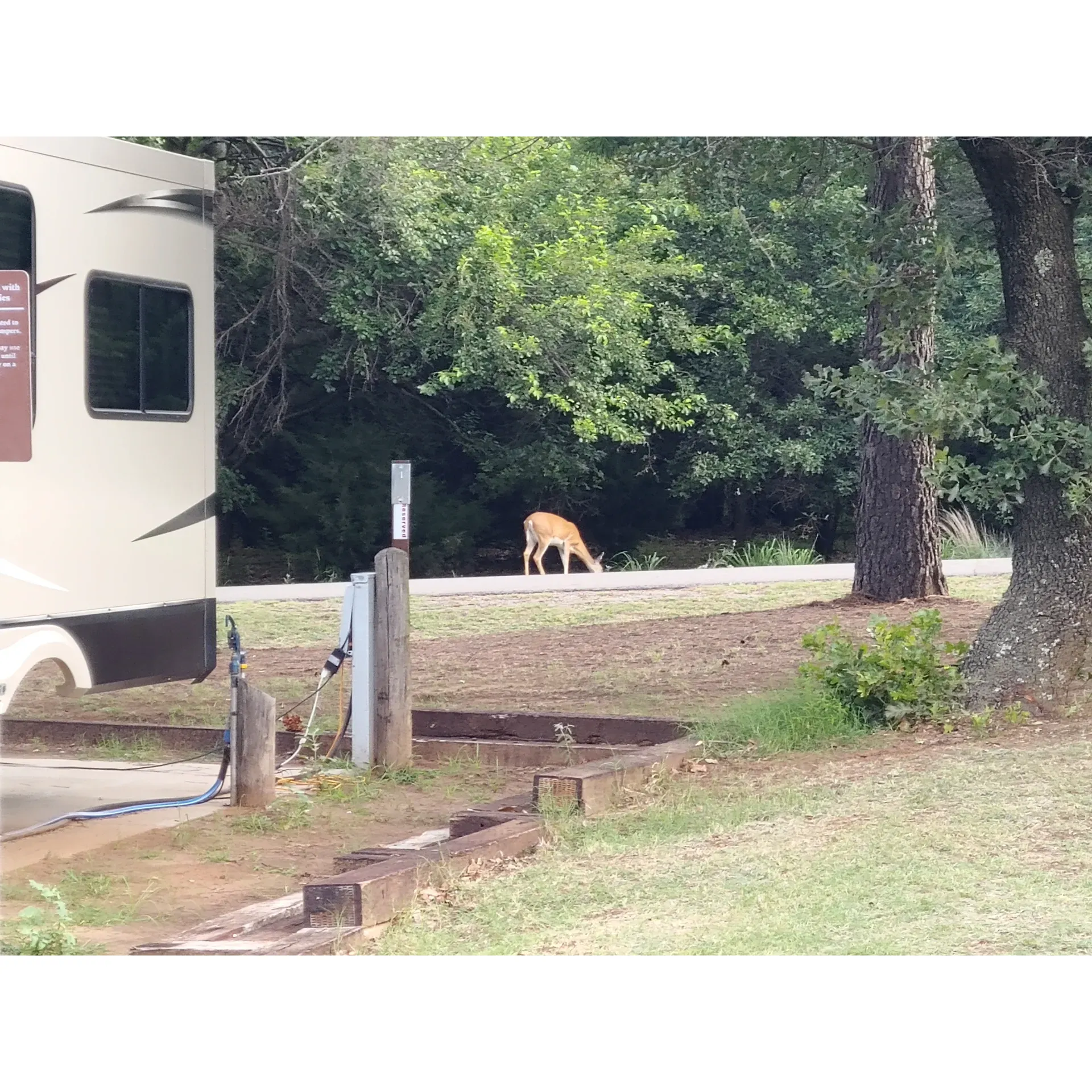 Catfish Cove Campground at Fort Cobb State Park has established itself as a prime destination for campers seeking a scenic, spacious, and welcoming outdoor experience. Its prime water access makes it a delight for those with a penchant for aquatic adventures, from boating enthusiasts to casual swimmers, equally catering to families who seek a serene retreat by the water's edge. The campground's spacious spots ensure ample room for camper setups, making it ideal for week-long family adventures where comfort and the freedom to spread out are key.

Visitors consistently praise the dedicated camp host for their friendly and accommodating nature, contributing to a warm and inclusive atmosphere throughout the grounds. The sense of peace and tranquility this campground cultivates is only amplified by the idyllic pastime of fishing, which guests find both entertaining and bountiful, further enhancing the overall camping experience.

Maintained with great care, Catfish Cove Campground encourages repeat visits with its combination of nature's beauty and essential amenities. Its close proximity to Oklahoma City makes it a convenient escape for city dwellers to take pleasure in a hassle-free weekend getaway. With various campgrounds within the park, the experience at White's Catfish Cove is particularly noteworthy for its beautiful lakefront sites that allow campers to immerse themselves in the stunning landscape that western Oklahoma has to offer.

A favored spot by many, this campground continues to draw visitors back to relish in the natural splendor, recreational fun, and the sense of community fostered among campers. Whether it's a long-anticipated return or a newfound discovery, the allure of Cat Bobb's Cove Campground is undeniable for those in search of the perfect lakeside retreat. Description by ChatGPT.