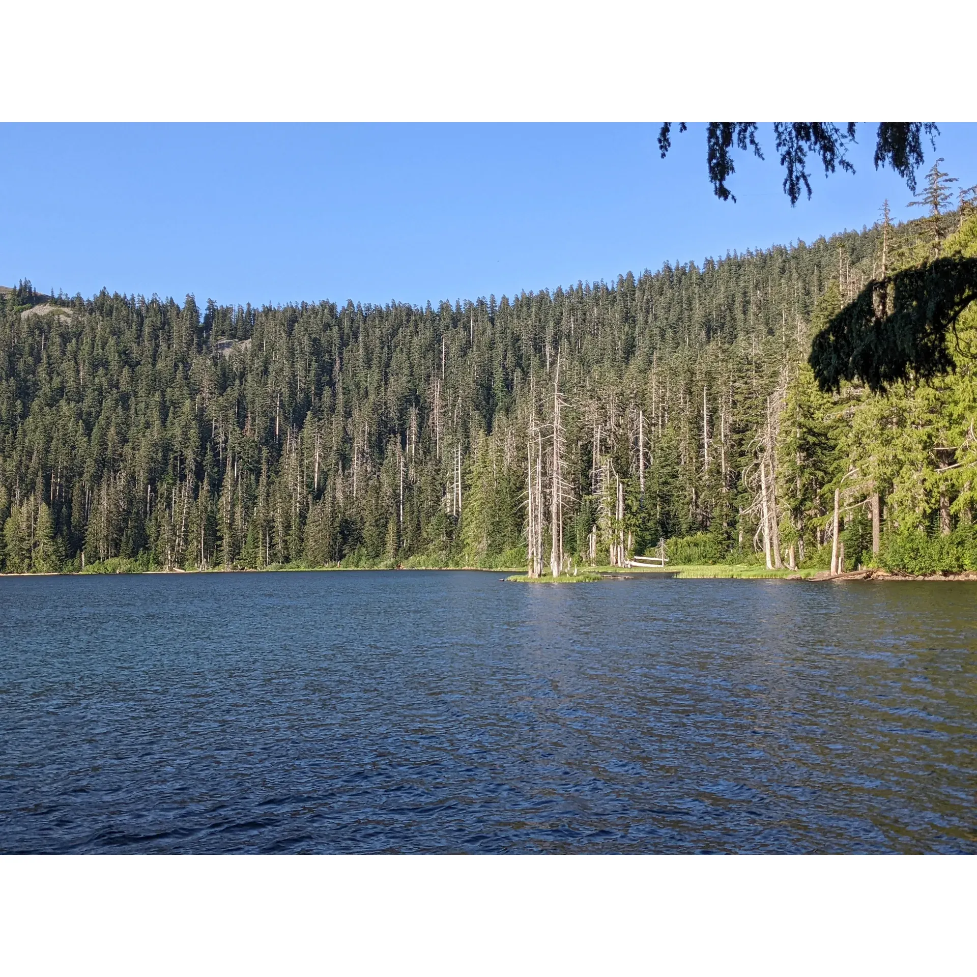 Wahtum Lake Campground offers an idyllic retreat for nature enthusiasts looking for tranquility amidst the beauty of the Pacific Northwest. The campground’s prime location provides a serene alternative to the more frequented areas, presenting visitors with an opportunity to immerse themselves in the great outdoors alongside the occasional friendly hiker. Offering multiple scenic spots along the lake, it is a perfect getaway for those wishing to revel in peaceful lakeside leisure or engage in reflective hikes through the forest, often accompanied by splendid overhead views of the water.

For those who appreciate well-maintained facilities, the campground attendants ensure cleanliness and order, providing amenities such as garbage disposal and portable restrooms for both day users and overnight campers. The real charm of this destination, aside from its picturesque and calm environment, lies in the adventure it offers—whether it is swimming in the lake’s refreshing waters or exploring the stunning trails dusted with fresh snow during the winter months, where silence is only broken by the gentle whispers of wind.

Camping spots, particularly sites 6 and 7, guarantee a sense of seclusion and intimacy with nature, allowing visitors to unwind in their little corner of the forest. With access to a diverse network of hiking trails, the campground serves as an excellent base for those seeking to explore on foot. The trek to the lake itself is an invigorating journey; the descent is made easier by a convenient staircase route, while the ascent provides a hearty workout that's well worth the effort for the experience that awaits at the water's edge.

Wahtum Lake Campground, while slightly removed from the beaten path, rewards its guests with a blend of adventure, solitude, and natural splendor—an ideal choice for campers and hikers looking to forge unforgettable memories in the great Pacific wilderness. Description by ChatGPT.