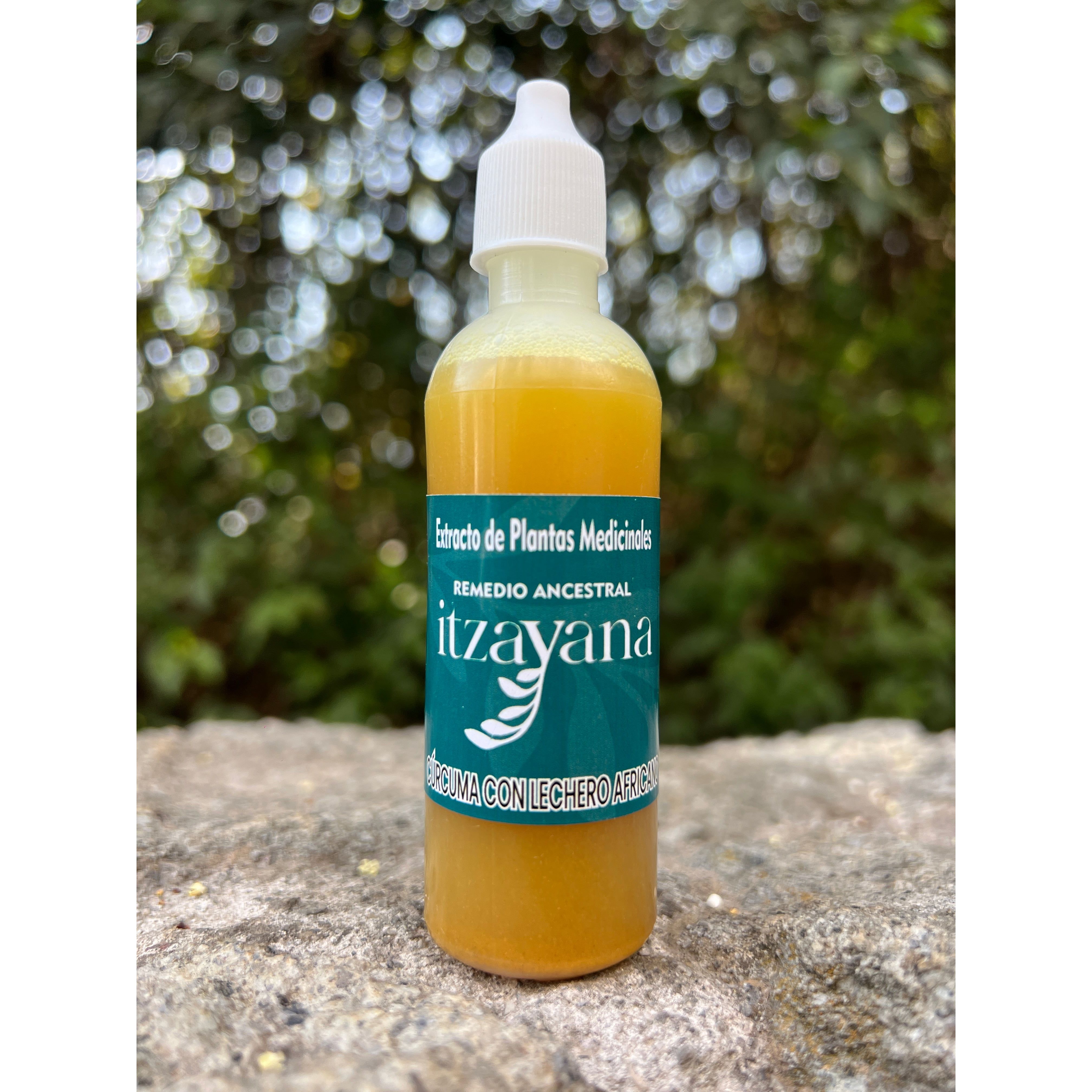 Discover the amazing power of Turmeric Tincture with African Dairy! This exceptional supplement combines the properties of turmeric, known for its remarkable anti-inflammatory and antioxidant effects, with African Dairy Extract, an ancient remedy that has been prized for its effectiveness in overall well-being.