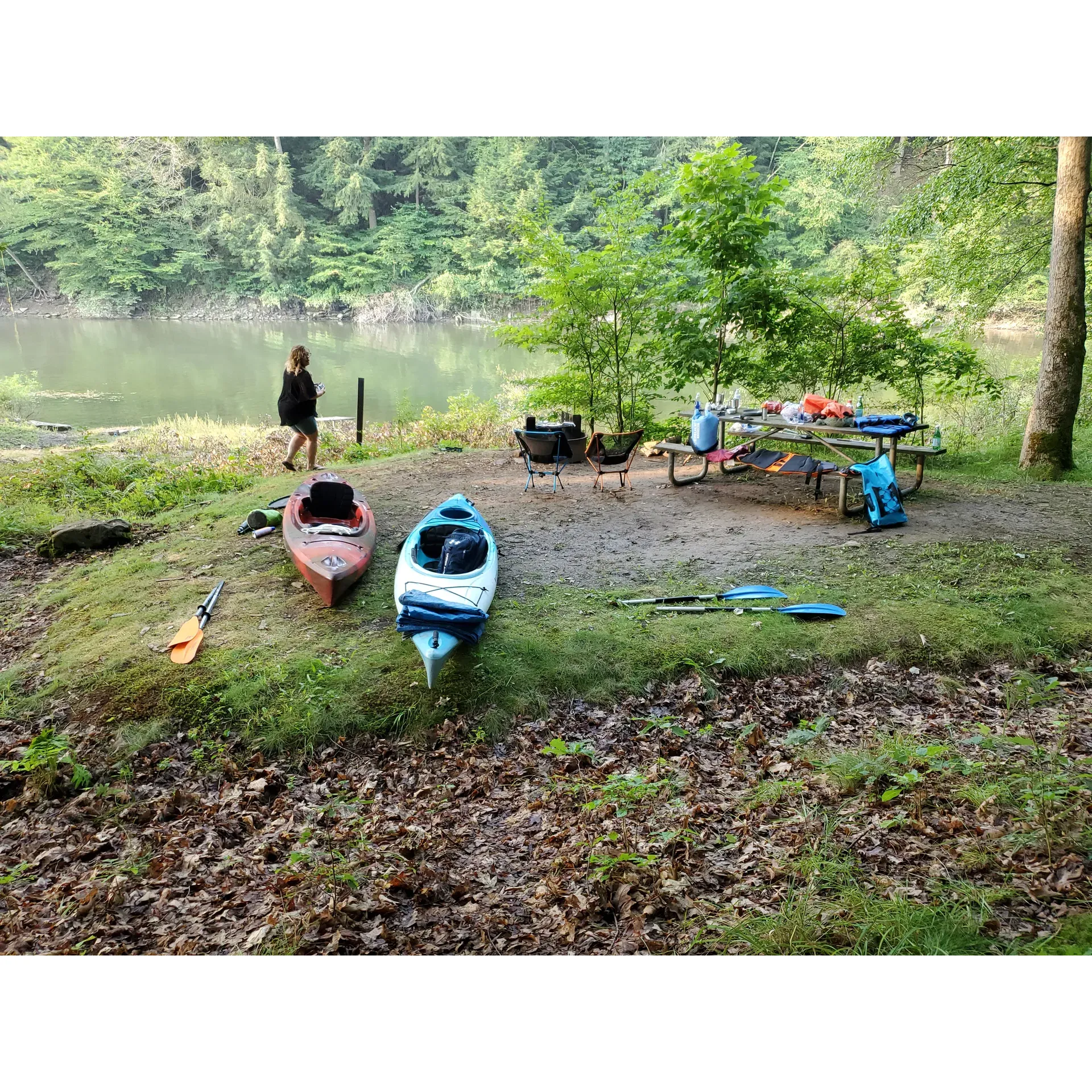 Hooks Brook Campground offers visitors a quintessential outdoor retreat steeped in the scenic beauty of the surrounding wilderness. Perfect for the intrepid traveler, this campground is an oasis of tranquility accessible primarily by water or through an invigorating hike, promising a genuine escape from the bustle of city life.

The grounds are tailored for camping enthusiasts, with well-developed, level sites expertly designed with trenches to manage rainwater runoff, ensuring your stay is comfortable even when nature takes a turn. Campsites are equipped with amenities such as fire rings, ideal for those who enjoy the crackle of a campfire under the stars, and the tradition of processing and leaving firewood for the next visitor encapsulates the sense of community and thoughtfulness found amongst campers here.

The restrooms at Hooks Brook Campground are known for their cleanliness, a pleasant surprise for those accustomed to less maintained facilities. In keeping with the campground's ethic of environmental responsibility, visitors are encouraged to 'pack it in, pack it out,' as no garbage cans are provided—ensuring the pristine condition of the natural environment for future adventurers.

Guests revel in the peacefulness of the campground, especially during the designated quiet hours that are respected by the majority of campers, fostering a serene ambiance that enhances the experience of all. The campsite fees provide value for the services and maintenance of these areas while immersing guests in the raw and captivating charm of the woodland surroundings.

While the focus at Hooks Brook Campground is on simplicity and self-sufficiency, it's a striking destination for those looking to connect with nature, appreciate undisturbed landscapes, and find solace in the calm and charming setting. Whether you come by canoe or by foot, this campground promises a unique and memorable outdoor venture. Description by ChatGPT.