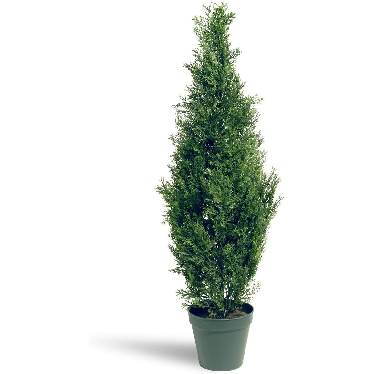 The National Tree Company Artificial Shrub is a lifelike Arborvitae plant standing at 36 inches tall. This faux shrub is beautifully crafted to mimic the natural appearance of a real Arborvitae plant, making it a great addition to any indoor or outdoor space.