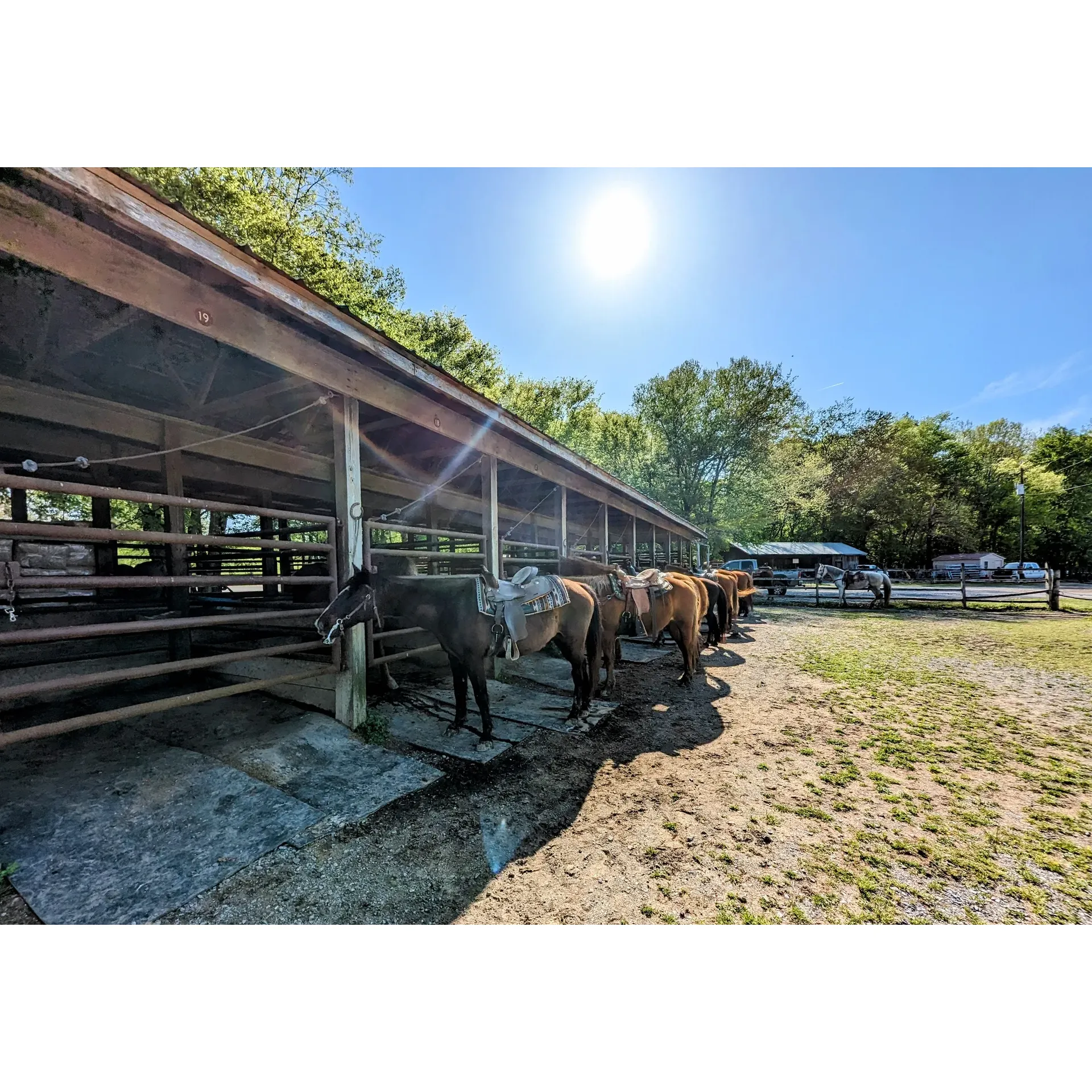 Wranglers Campground, located within the picturesque Land Between the Lakes, is a premier outdoor oasis that caters to equine enthusiasts and adventure-seeking families alike. With its widespread acclaim among horse lovers and outdoor adventurers, the campground stands out as an essential destination for those seeking to indulge in the equestrian lifestyle or just connect with nature.

Visitors repeatedly praise the superb horseback riding experience made memorable by patient, well-trained horses and knowledgeable, attentive guides like Whitney (MLP), whose professionalism ensures a safe and pleasant ride for guests of all levels of experience. Whether you have never mounted a horse or are an experienced rider, the guided trail rides offer an unhurried journey through serene woodland trails, making it an ideal activity for individuals, kids, families, or couples seeking a novel date experience.

The campground's expansive selection of campsites caters to different preferences, and there's a buzz of excitement about the possibility of booking a cozy cabin for a more secluded retreat. Equipped with the basic necessities in its on-site store and staffed by uniformly friendly and helpful personnel, Wranglers Campground delivers comfort and convenience in the heart of nature’s splendor.

The trails stand out for their outstanding quality, suitable for every rider regardless of skill level, and this has captivated the local equestrian community and beyond. Many visitors, considering the value and allure of the campground, find themselves contemplating an annual pass as part of their ongoing commitment to the exceptional Wranglers experience.

For those seeking a harmonious blend of nature, hospitality, and equine pleasure, Wranglers Campground is evidently a distinguished getaway that continues to charm its visitors and beckons them to return for more enriching outdoor escapades. Description by ChatGPT.