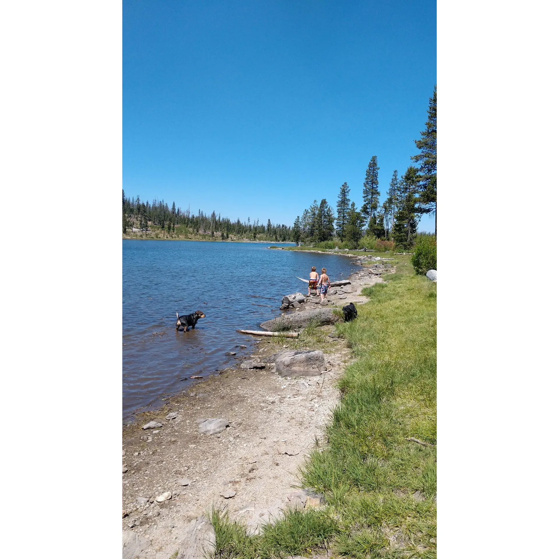 Deadhorse Lake Developed Campground is a cherished destination for families and outdoor enthusiasts seeking a tranquil retreat into nature. This scenic getaway is a treasure trove for those who revel in lakeside activities from leisurely fishing experiences where the trout are not only abundant but also impressive in size to the serene pleasure of watching osprey in their natural habitat as they dive for their next catch, providing delightful entertainment.

The lake's crystalline waters and clean surroundings are a constant draw, inviting visitors to create lasting memories with loved ones. The area is a favorite for ATV riders, with guests frequently mentioning the ease of accessing the lake from nearby cabins, amplifying the joy of exploring the surrounding wilderness.

Anglers, in particular, have lauded the lake for its peaceful fishing conditions, often accentuated by stunning sunsets that paint the sky in vibrant hues. Boating enthusiasts appreciate the lake's regulation for electric motors, ensuring a quiet and eco-friendly environment.

The campground is highly regarded for its great camping spots, ensuring visitors a comfortable stay amidst the great outdoors. It has become a sought-after location for those looking to disconnect from the busier pace of life and connect with the simplistic beauty of high mountain landscapes.

In summary, Deadhorse Lake Developed Campground is celebrated for its beauty, recreational opportunities, and the joy it brings to its visitors, making it an ideal spot for those looking to create cherished family memories or simply enjoy the great outdoors. Description by ChatGPT.