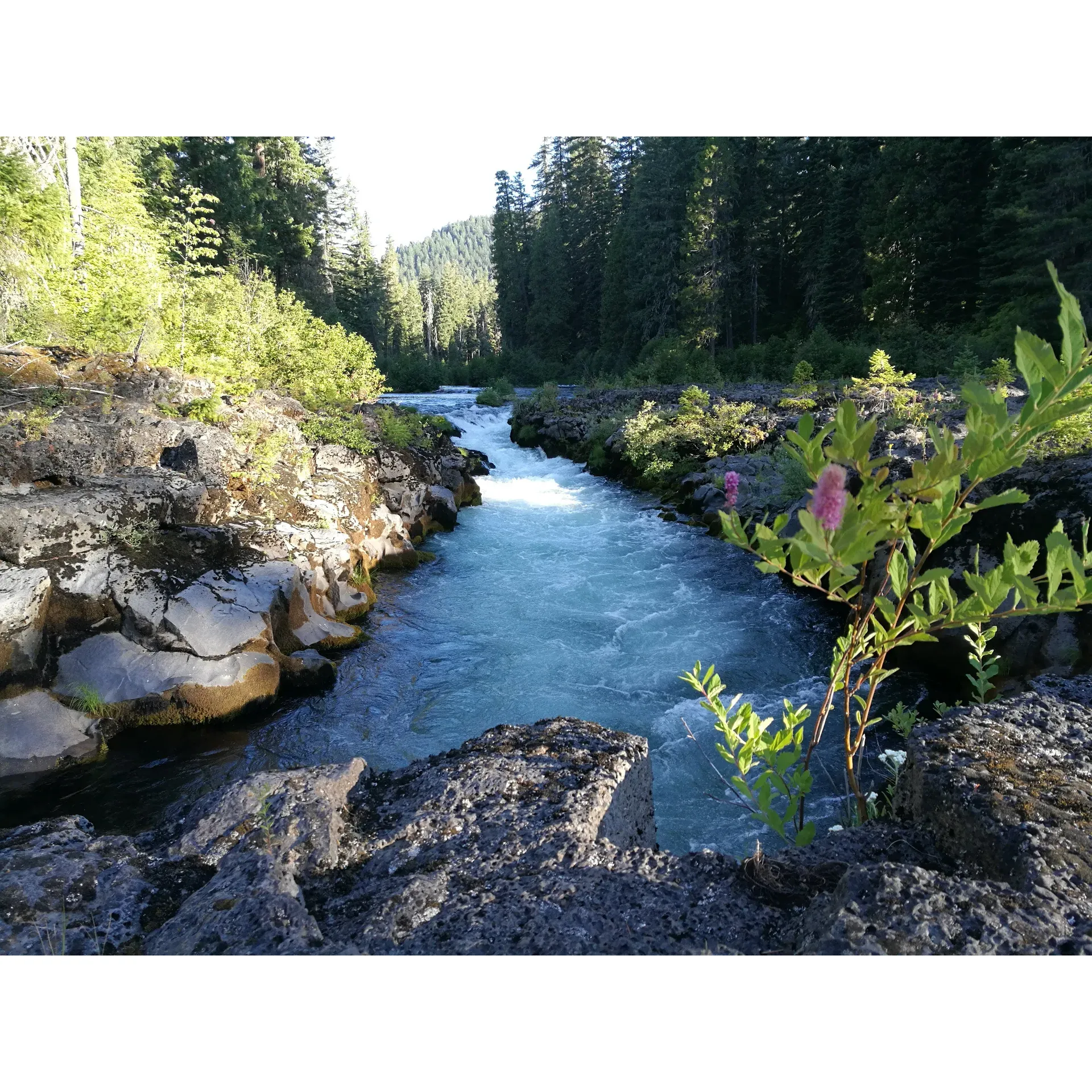 Set in the serene backdrop of a lush landscape, Natural Bridge Campground is the outdoor enthusiast’s retreat where the bubbling melody of the river accompanies every activity. The campsite is embraced by nature's splendor, offering ample space between sites, ensuring that each visitor enjoys their own slice of tranquility. It’s a haven that’s both pet-friendly and perfect for anyone looking to escape the bustle of daily life.

Guests are treated to the soothing sounds of the Rogue River, which flows just a stone’s throw away from most campsites, inviting anglers to revel in easy access to fishing. The water’s clarity enhances the experience, adding to the allure of casting a line for a prized catch. The campground's proximity to various trails, including the one leading to the majestic Natural Bridges, makes it a hiker’s paradise. Enthusiasts can explore the diverse local flora and fulfill their love for trekking along scenic routes.

For those seeking a communal outdoor experience, the campground proudly offers large group sites. The sense of community is further elevated by delightful surprises, such as the enchanting painted rocks hidden around the camp, which create a delightful treasure hunt for all ages.

With an affordable rate, Natural Bridge Campground not only promises a cost-effective getaway but also boasts a strategic location that is a mere hour and a half from Crater National Park. This proximity allows adventurers to easily expand their explorations to encompass the park's renowned beauty.

Visitors come to find refuge among the trees and green spaces, delight in the fire pits and tables at each site, and immeridate themselves in a wonderland rich with water features, plants, lichen, and an array of mushrooms. From seasoned campers to those coming from landscapes afar, this verdant world offers an unforgettable and different experience, one that beckons many to return year after year to the cherished Natural Bridge Campground. Description by ChatGPT.