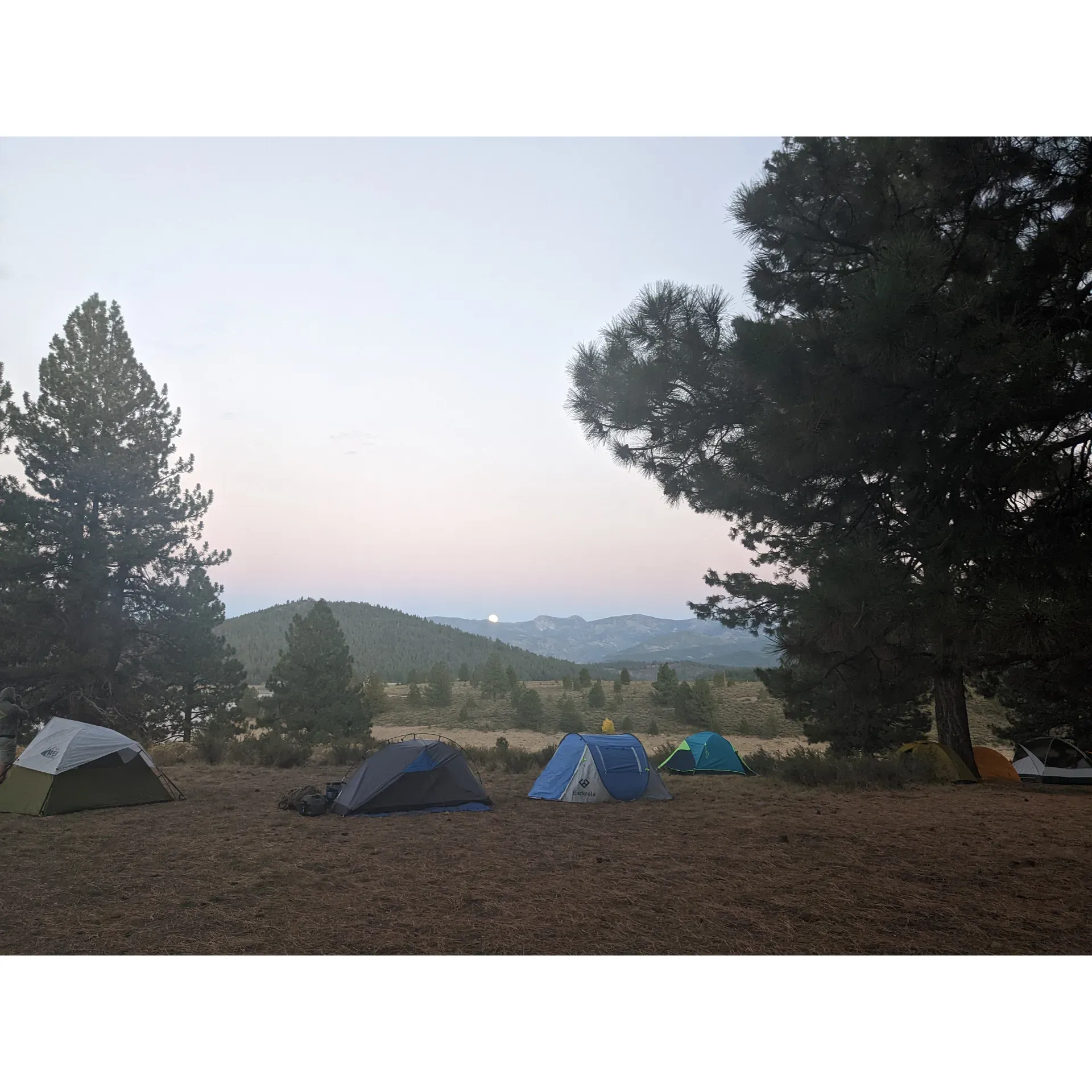 Prosser Ranch Group Campground is a charming outdoor retreat that offers a picturesque lakeside experience perfect for group gatherings. As a popular destination for church groups and various gatherings, the campground provides ample amenities to accommodate a large number of guests, including a generous fire pit, numerous tables, and expansive space ideal for tent pitching. Visitors rave about the tranquil beauty of the adjacent lake, which is praised for its clarity and pristine cleanliness, free from any detritus.

Accessibility is a breeze at Prosser Ranch Group Campground, with guests appreciating the easy-to-reach location that promises a reprieve from the crowds, making it a perfect spot for a peaceful day trip. Those who visit are often eager to plan their return to this scenic escape. Furthermore, the serenity is complemented by well-maintained facilities, with restrooms that guests have noted to be exceptionally clean, adding to the comfort of their stay.

The truly picturesque setting allows campers to enjoy unobstructed views of Prosser Lake right from their campsite, enhancing the overall outdoor ambiance. First-time campers and seasoned outdoorsmen alike recount their unforgettable moments at Prosser Ranch, where the encounters with local wildlife, such as baby deer and the majestic Bald Eagle, add an element of awe to their experience.

The campground is not only a space for nature lovers to thrive but also a community of friendly camping neighbors and hosts who contribute to the hospitable environment with their helpfulness and warmth. It's a haven where one can relish the simple joys of the outdoors—fresh air, towering trees, and the enchanting sights and sounds of nature—all while sitting around a campfire, creating memories that last a lifetime. Description by ChatGPT.