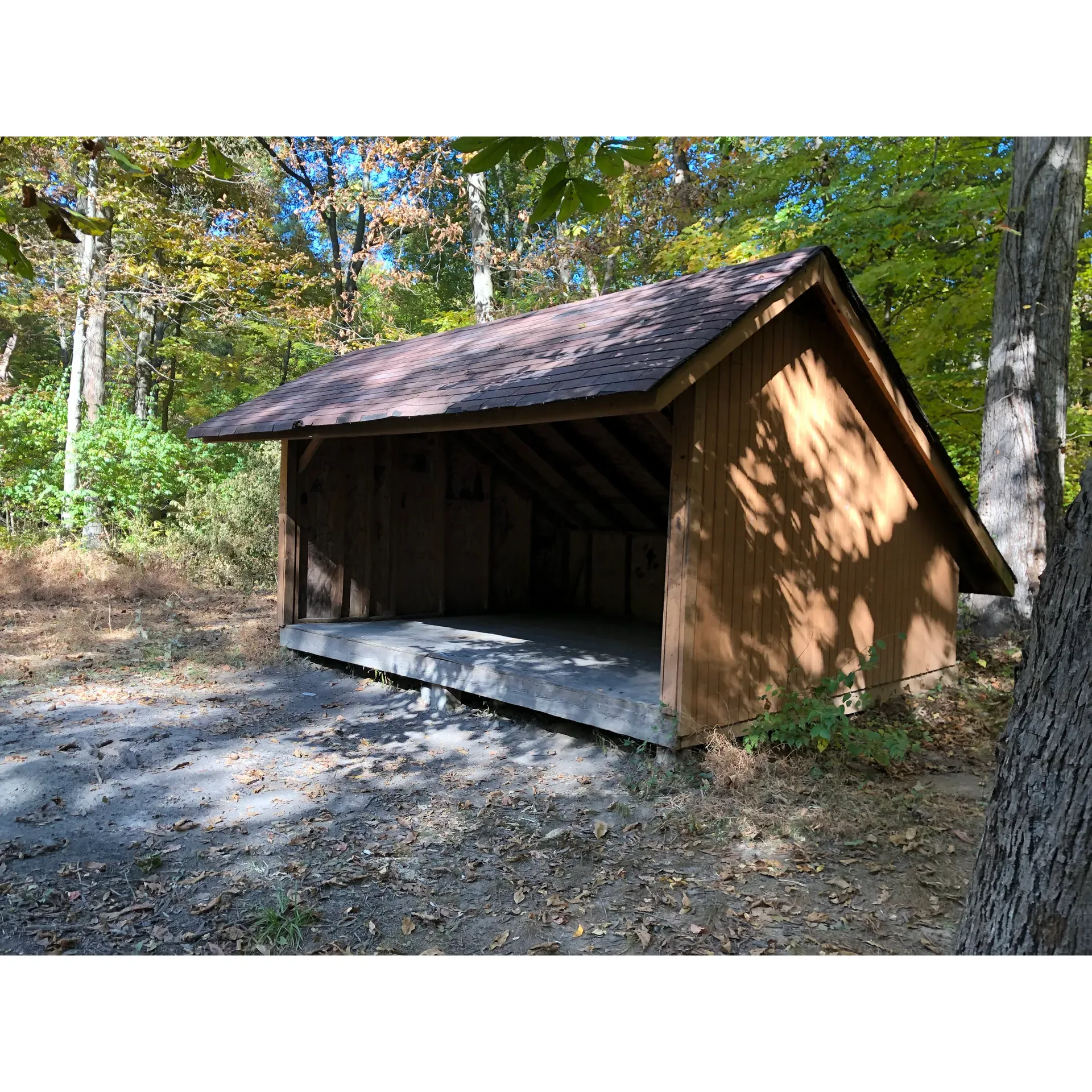 Backpack Trail Camp 1 emerges as an ideal retreat for seasoned hikers and outdoor enthusiasts alike. It boasts a spacious and flat camping area, perfect for setting up tents or stringing up hammocks with convenient poles provided for an elevated sleeping experience. The campsite maintains a commendably dry landscape, conducive to comfortable camping regardless of weather.

Adjacent to the site, a sturdy shelter house stands ready, offering a reliable option for those who prefer a roof over their heads while still indulging in the rustic charm of outdoor living. A well-maintained fire ring enhances the camping experience, providing a cozy gathering spot for warmth, storytelling, and marshmallow roasting under the starlit sky.

True to its adventurous spirit, the campsite is accessed by a hike through the picturesque trails, approximately a twenty-minute journey that showcases the natural beauty of the surrounding wilderness. The nearby water source is conveniently accessible, ensuring campers can easily replenish their water supplies.

Wildlife enthusiasts will appreciate the opportunity to encounter local fauna, especially if they set out for an early morning hike, while acoustic adventurers might find delight in the nocturnal serenades of coyotes from a comfortable distance.

Visitors are reminded to embrace the principles of Leave No Trace, ensuring the everlasting pristine condition of the site for many generations to come by leaving behind only memories and footprints.

Backpack Trail Camp 1 has built a reputation as one of the premier backcountry sites at East Fork, offering a secluded, natural escape with the bonus of a trail that's well-maintained and friendly to both novice and experienced hikers. For those seeking an authentic and memorable outdoor experience, this campsite effortlessly blends simplicity with the essentials of wilderness adventure. Description by ChatGPT.