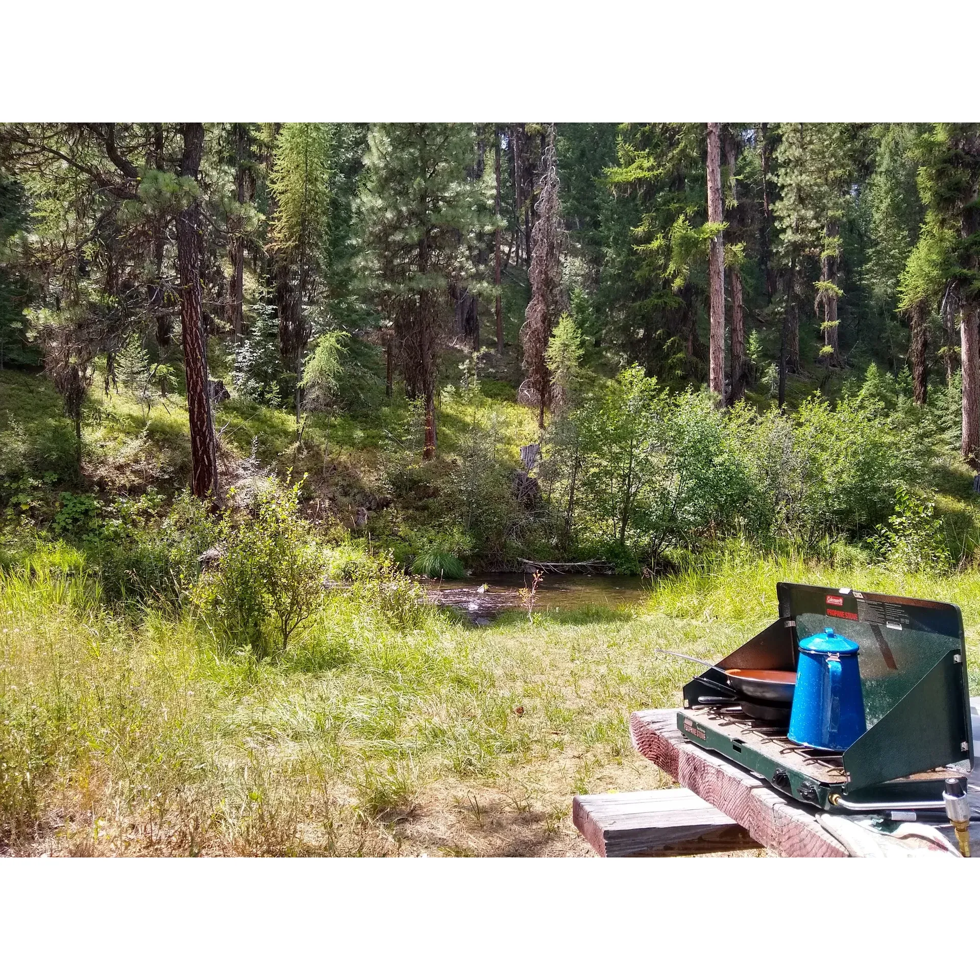 Deerhorn Campground emerges as a tranquil retreat for outdoor enthusiasts seeking a variety of recreational activities amidst the scenic splendors of the Middle Fork John Day River State Scenic Waterway. This charming and intimate campground is a favorite among those who appreciate the great outdoors, whether they're looking to indulge in a serene fishing experience, embark on an adventurous exploration, immerse in nature watching, or participate in the thrill of hunting season.

Affordably priced at $8.00 per night for each camping unit, with an additional modest fee of only $4.00 for extra vehicles, guests find Deerhorn Campground to be an excellent value for an authentic outdoor experience. The campground's peak popularity is observed during the balmy days of late summer, as well as the invigorating hunting season, where the camaraderie and excitement are palpable.

Easily accessible from Prairie City, the journey to Deerhorn Campground is a short and picturesque drive, leading adventurers to a place often described as a slice of paradise. With a small green sign marking its entrance, the campground's discreet location is enticing for those in the know, seeking a peaceful escape from the everyday.

Campers often speak of Deerhorn Campreement as a "beautiful little campground," where the joys of the wilderness can be embraced fully, creating unforgettable memories under the expansive skies and along the flowing riverbanks. It is indeed a special place where nature's beauty is up close and personal, offering a well-rounded experience for all who find their way to this cherished destination. Description by ChatGPT.