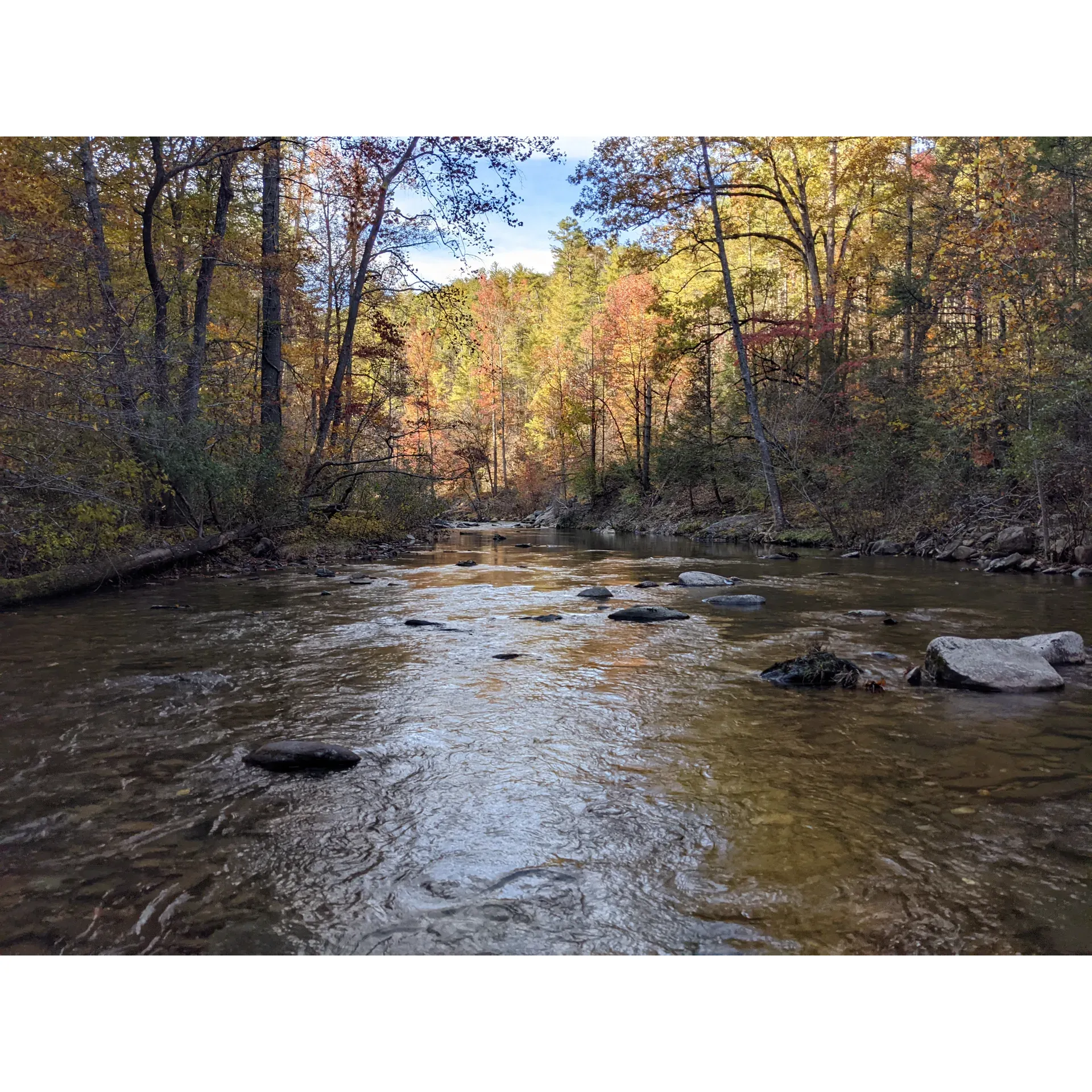 Jake Best Campground is a cherished outdoor retreat within the Cherokee National Forest, attracting visitors year after year with its beautifully maintained campsites and tranquil surroundings. Offering a picturesque escape for nature enthusiasts and families alike, this campground is a prime spot for those looking to immerse themselves in the great outdoors.

Seasoned fly-fishers and beginners will find the location ideal for honing their skills, thanks to the proximity of a vibrant river, promising an abundance of aquatic life and serene fishing experiences. The well-kept sites provide a convenient and comfortable base for exploring the lush landscapes of the national forest, with the soothing sounds of the river providing a natural soundtrack to an overnight stay.

Attention to detail can be seen in the maintenance of the essential amenities, including the spotless pit toilet, ensuring a comfortable and worry-free experience for all guests. The campground serves as a perfect jumping-off point for forest exploration, offering easy access to scenic trails and outdoor adventures.

In line with the embrace of nature and wildlife preservation, the campground maintains a prudent policy on storage and consumption of food and beverages, which also contributes to the overall serenity and family-friendly atmosphere of the area.

The campsites are neatly laid out, offering a balance of privacy and community, with each site being just a short stroll to the river's edge. Here, days are filled with tranquil moments and the nights are accentuated by the gentle sounds of flowing water.

With its secluded charm and stunning natural beauty, Jake Best Campground is not only a haven for those seeking peace and quiet but also an affordable destination, making it accessible for all who wish to experience the splendors of the Cherokee National Forest. Whether it's for a single night's respite or an extended stay under the stars, this campground continues to be a beloved choice for creating lasting memories in the heart of the wilderness. Description by ChatGPT.