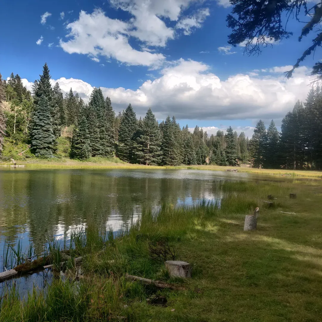 Upper Lagunitas Campground offers an idyllic escape amid the great outdoors, where the allure of unspoiled nature captivates every visitor. Immersed in the serene backdrop of the Cruses Basin Wilderness, this campground is celebrated for its immaculate condition and thoughtfully arranged sites that offer ample space for peace and privacy – a true testament to the respectful community of campers it attracts.

From nature enthusiasts on long-distance biking adventures to friendly bow hunters in pursuit of elk, the campground fosters a warm and vibrant community. It's a place where adventurers gather to share stories and experiences around a communal fire ring, which, complete with a generous stockpile of firewood, becomes the heart of memorable evenings under the stars.

The campground serves as a prime location for witnessing the captivating beauty of both sunrise and sunset, painting the sky with breathtaking hues that reflect off the surrounding wilderness. The approach to the site via FR 87 is smooth, with well-maintained gravel roads ensuring accessibility for vehicles with sufficient clearance, thereby making the campground a convenient choice for a range of visitors.

Outdoor aficionados will be thrilled with the gentle trail leading down to nearby lakes, which not only boasts a variety of fish but also offers a rewarding challenge on the return trek at altitude – ideal for those seeking both recreation and exercise. Embodying the pristine beauty of nature, Upper Lagunitas Campground is an enchanting retreat that beckons visitors to return, especially during the warmer seasons, for an immersive and private outdoor experience. Whether one is seeking solitude, a fishing adventure, or a communal gathering under the sky's natural canvas, this campground is a cherished haven for all who respect and delight in the great outdoors. Description by ChatGPT.