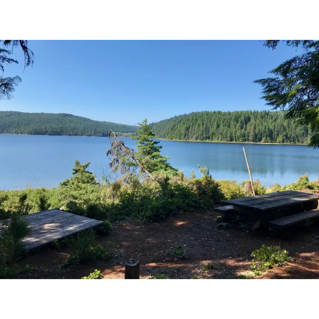 Brewster Point Recreation Site is a popular outdoor destination located in Strathcona, British Columbia. The site offers stunning views of the surrounding wilderness and is a great spot for camping, picnicking, and hiking. Visitors can enjoy exploring the nearby forests and beaches, as well as taking in the picturesque scenery of the area.

The recreation site is equipped with picnic tables, fire pits, and pit toilets for the convenience of visitors. There is also access to the beach for swimming, fishing, and boating activities. The site is open to both day-use visitors and campers, with a small fee required for overnight stays. Brewster Point Recreation Site is a peaceful retreat for those looking to escape the hustle and bustle of city life and immerse themselves in the beauty of nature. Description by ChatGPT.