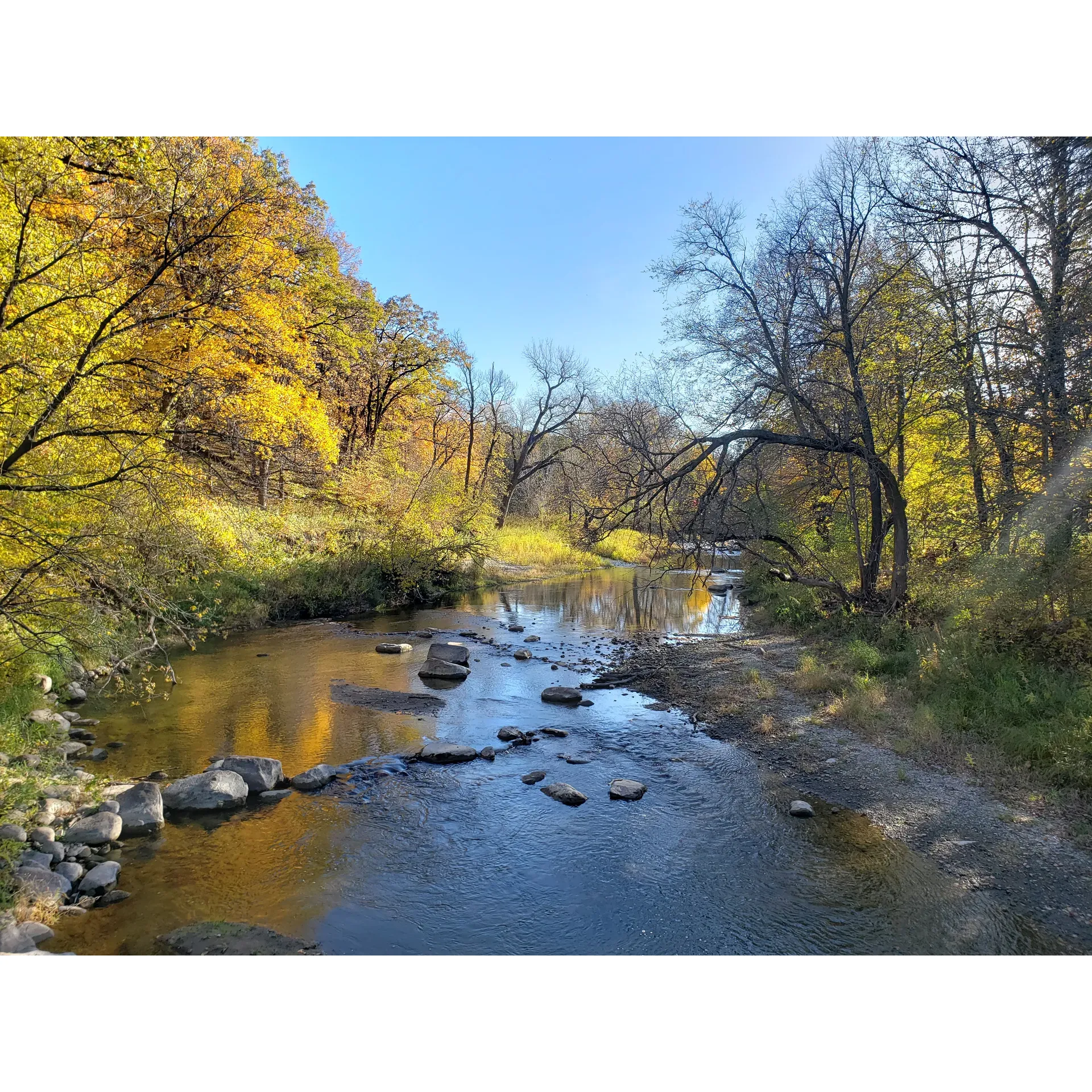 Camden State Park is a picturesque outdoor sanctuary characterized by its rich landscape of mature trees and diverse wildlife. It offers a plethora of activities that cater to visitors of all ages. Families are particularly drawn to the park's lower campground, which provides a safe and enjoyable environment for children to ride bikes and scooters, or engage in vibrant chalk art. As an added bonus, the park promises to enhance the visitor experience with fresh geocaching adventures slated to debut in the summer of 2024.

Outdoor enthusiasts rave about the park's expansive and well-maintained hiking trails, with the river trail receiving high recommendations for its scenic beauty. Additionally, the park's upper campground is celebrated for its tranquility, providing spacious and private campsites that are ideal for those seeking a serene retreat.

The park also features a small swimming beach that offers a refreshing escape on warm days, and for the adventurous souls, the chilly swimming pond presents the perfect challenge to cool off after a day of exploring. Anglers and lovers of marine life can delight in the park’s trout-rich river, which flows gracefully through the serene landscape.

Picnic areas adjacent to the stream are thoughtfully positioned to allow families and friends to enjoy meals with the soothing ambiance of flowing water. Moreover, the clean and well-kept bathrooms, as well as the helpful and congenial park rangers, further enhance the quality of the park experience.

Camden State Park is not only a venue for daytime adventures but also a site where nature's grandeur unfolds in spectacular displays, such as the awe-inspiring Northern Lights, which recently adorned the skies above.

With an array of amenities, including the option to rent a lodge and various day-use areas, Camden State Park stands out as an endearing destination for those seeking recreation, relaxation, and the joy of the great outdoors. Description by ChatGPT.