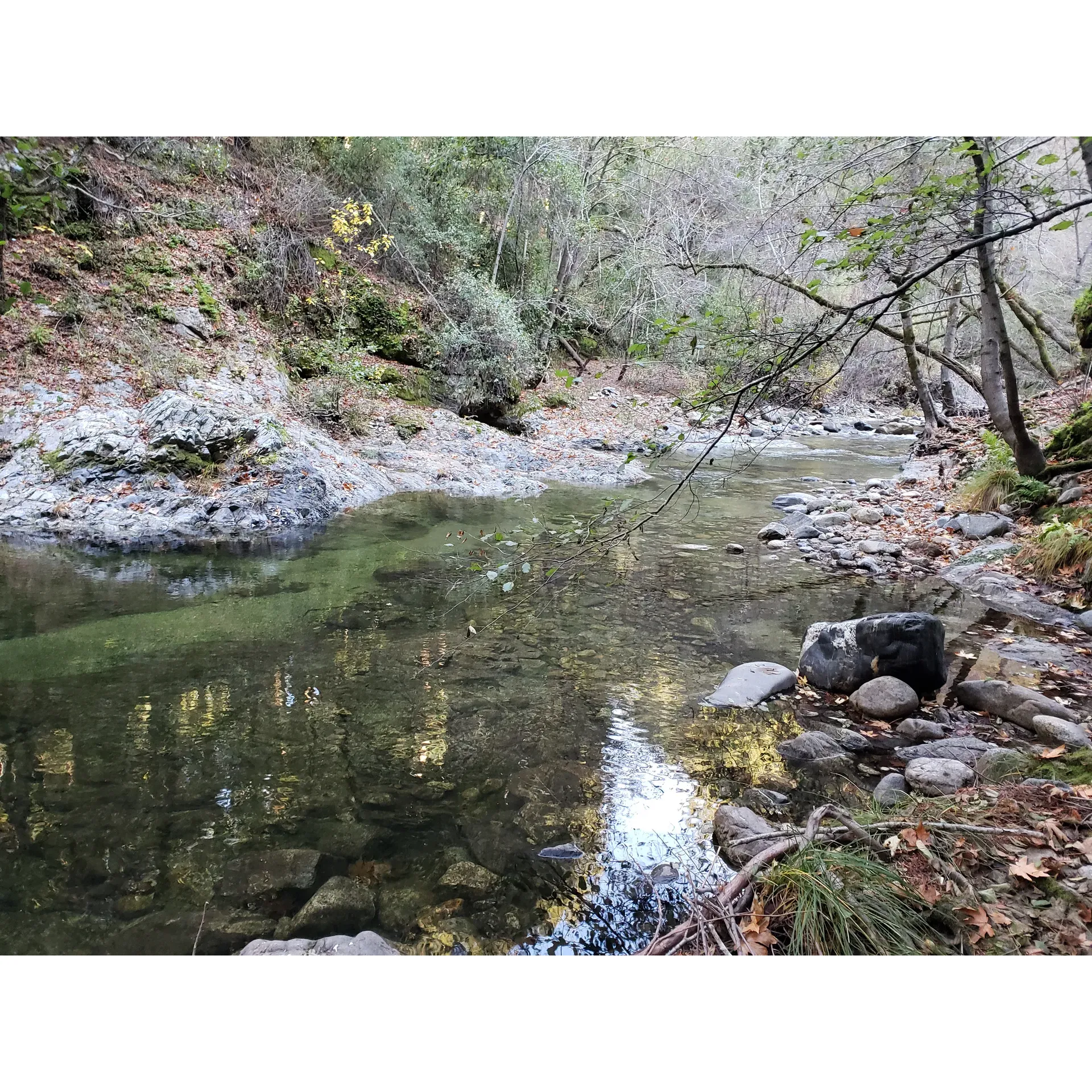 Barlow Flat Campground offers an enchanting outdoor experience for those seeking a serene getaway in the beauty of nature. This picturesque campground boasts prime spots along the river, where the calming sounds of the water create a magical ambiance for visitors. Additionally, campers have the opportunity to settle in amid the majestic redwoods, which offer a unique forest retreat setting that hums with the quiet whispers of nature.

A favorite among seasoned back country enthusiasts, Barrow Flat provides a rustic charm with the convenience of a campground that blends into the natural surroundings. The lush terrain and the rolling waters of the Big Sur River enhance the scenic beauty of the site, making it a perfect canvas for photographers and nature lovers alike. With the Big Sur River cradling the campground, guests find themselves in a tranquil oasis, perfect for relaxation, reflection, or a gentle exploration of the area.

Beyond the allure of the river, the campsite is enveloped by the grandeur of the surrounding landscape, offering plenty of opportunities for hiking and wildlife spotting. The peaceful environment lends itself well to daydreaming, reading, and unwinding away from the bustaff of everyday life. Ideal for both solo adventurers and families looking for quality time together, Barlow Flat Campground is a splendid choice for creating lasting memories amidst the splendor of the wild. Description by ChatGPT.