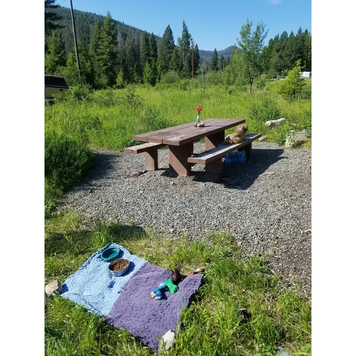 Moose Creek Campground offers an idyllic outdoors experience, with its scenic location along a picturesque creek set amidst the grandeur of nature. Campsites at Moose Creek are artfully arranged amidst lush tall grass and a canopy of trees providing each spot with a feeling of seclusion and privacy that amplifies the serenity of the wilderness.

Renowned for its well-maintained grounds, the campground presents guests with essential amenities such as vault toilets and hand pump water stations to ensure a comfortable stay without detracting from the natural environment. Each campsite is equipped with a fire ring for those cherished campfire moments and a picnic table to enjoy meals surrounded by the beauty of the forest.

With a convenient self-pay system, budget-friendly rates, and discounts available for eligible pass holders, Moose Creek provides accessible camping options for a wide array of nature enthusiasts. The atmosphere here remains peaceful and clean, allowing campers to unwind and bask in the tranquility of the outdoors.

Although primarily a haven for relaxation and escape from the bustle of daily life, Moose Creek is adjacent to trails for those inclined to explore on foot, and proximity to fishing spots adds another layer of outdoor activity for the angling aficionado. This beautiful little campground is indeed a hidden gem, offering a quiet, generous space for campers to indulge in the natural world, all while honoring the legacy of heroic canine companions that carved out a historical niche in this serene locale. Description by ChatGPT.