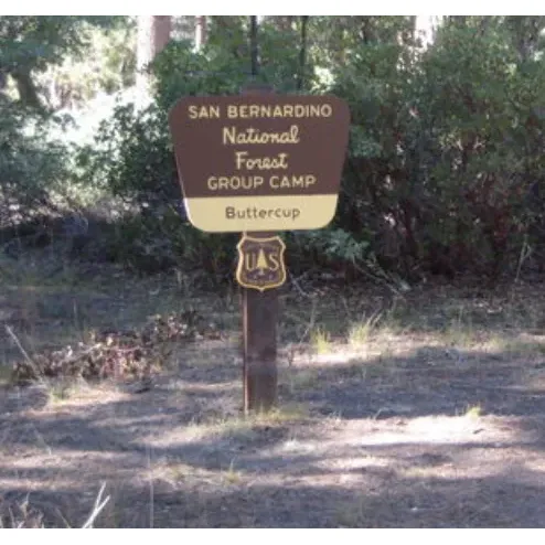 Buttercup Group Campground is a delightful outdoor retreat that provides an enchanting camping experience surrounded by striking pines and the charming presence of local wildlife, catering to both the nature lover and the outdoor enthusiast. The area boasts a capacious layout, offering ample space for group camping and even accommodating a few RVs for those who prefer a touch of home comforts while savoring the wilderness.

Visitors can enjoy the well-maintained facilities, including clean pit toilets, praised for their cleanliness and upkeep. The camp hosts receive glowing reviews for their kindness and helpfulness, adding to the welcoming atmosphere of the campground. They ensure that everyone's stay is as pleasant and comfortable as possible.

Buttercup's location offers a unique visual treat, with the opportunity to observe Marines' training exercises in the nearby vicinity, providing an interesting and patriotic backdrop to the camping experience. While for families and children, the adjacent ski resort offers a variety of activities, ensuring that there's never a dull moment during your stay.

The campground also offers generous shaded sites, allowing campers to relax and escape from the sun at any time of day. The combination of great cell phone coverage and the natural seclusion makes for a perfect blend of modern convenience and tranquil solitude.

Finding Buttercup Group Campground is part of the adventure, and it's advisable to come prepared with maps, as digital guidance may not lead directly to this hidden gem. Once there, the privacy and quiet atmosphere guarantee a relaxing retreat from the hustle and bustle of everyday life.

Whether it's the cleanliness, the spaciousness, or the friendly camp atmosphere, Buttercup Group Campground provides an idyllic setting for groups looking to create memorable outdoor experiences. With its well-kept facilities and engaging surroundings, it easily earns its reputation as a cherished destination amongst camping aficionados. Description by ChatGPT.