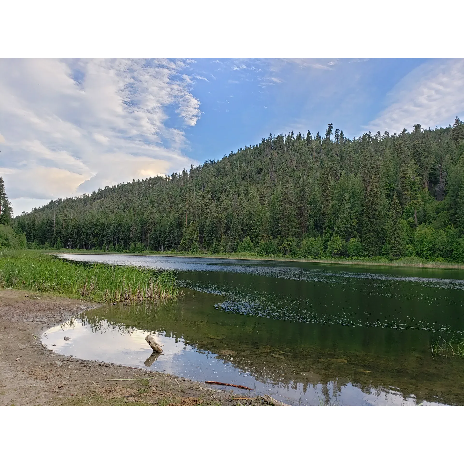 Buck Lake Campground offers a serene retreat for outdoor enthusiasts and weekend adventure-seekers alike. Surrounded by the tranquility of nature, this picturesque haven thrives as a prime location for a variety of activities. Campers are encouraged to become stewards of the pristine wilderness that envelops the grounds.

Open to the vibrant life of the outdoors, the campground provides essential amenities like outhouse-style bathrooms, maintaining a traditional rustic charm. The simplicity of the facilities adds to the authentic experience of connecting with the environment.

The area around Buck Lake Campground is a treasure trove for those seeking to explore. With numerous hiking trails and bike paths readily available, visitors can wander through the scenic landscapes, discovering the unique beauty of the locale. Those interested in the sport of shooting will find themselves just minutes away from suitable ranges.

Fishing enthusiasts are in for a treat, as Buck Lake is sometimes stocked, enhancing the chances of a plentiful catch. Whether you're casting a line from the shore or a boat, the opportunity to reel in trout adds an exciting aspect to the camping adventure.

Buck Lake Campground is also the perfect spot for those looking to immerse themselves in quietude, away from the hustle of daily life. The remoteness of the location underlines the peaceful ambiance, offering an ideal setting to relax and unwind, accompanied only by the gentle sounds of nature and the occasional visit from local officials ensuring a secure environment.

While the campground has experienced closures due to natural events such as fires, it remains a cherished destination ready to welcome campers back to its tranquil embrace, promising unforgettable weekend getaways and precious memories amidst the great outdoors. Description by ChatGPT.