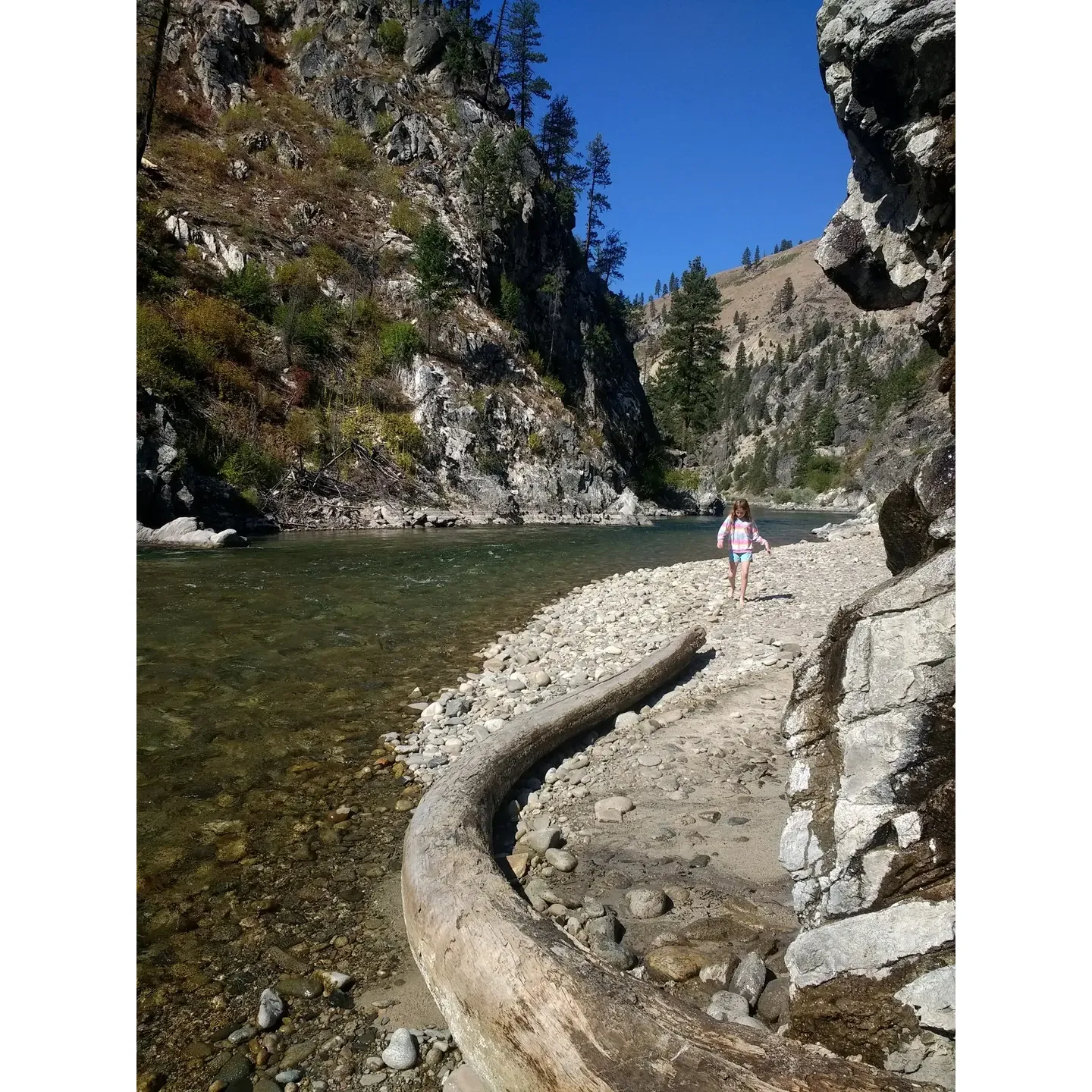 Discover the tranquil beauty of Pine Flats Campground, a picturesque destination for outdoor enthusiasts and nature lovers alike. Located on the stunning Banks Lowman Road, this campground provides a serene escape alongside the scenic Payette River's Middle Fork. The easy accessibility from Boise makes it a convenient outdoor getaway, offering a complete immersion into the Idaho wilderness without the need for a lengthy journey.

Pine Flats Campground boasts clean, well-maintained sites suitable for both tent camping and RVs, with the added convenience of online reservations and first-come, first-serve availability. The campground hosts are on-site to assist with any needs, ensuring a smooth and enjoyable experience for all guests.

This camping retreat offers an array of natural beauties, including a quaint "sandy beach" by the nearby river, which provides a splendid backdrop for relaxation and the thrill of nature's contrasts with the super cold river water. Adventure forth to discover the warming embrace of nearby hot springs, just a short walk from the campground. These natural pools present a variety of sizes and temperatures, offering a unique soaking experience complemented by panoramic views—a splendid activity for those seeking solace and rejuvenation.

The campground is equipped with essential amenities, including non-smelly pit toilets and manual water pumps, strategically located for guest convenience. While there may not be an abundance of shade, the open areas invite campers to bring canopies and create their own cool retreats under the azure skies.

For those seeking a mix of soothing hot springs relaxation and the invigorating chill of a river adventure, Pine Flats Campground provides a perfect balance. With ample opportunities for making memorable experiences, whether it’s celebrating a special anniversary or simply enjoying a tranquil escape in nature’s embrace, this campground invites you to soak in the natural beauty and relaxing environment on offer. Description by ChatGPT.