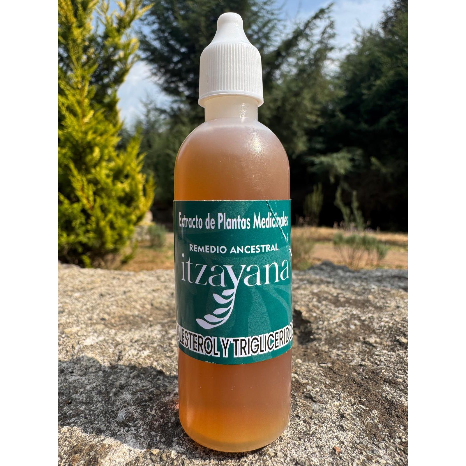 Discover the excellence of ITZAYANA - Tincture for Cholesterol and Triglycerides, an artisanal formula that masterfully combines ancestral Mexican ingredients to take care of your cardiovascular health with the purity and elegance you deserve.