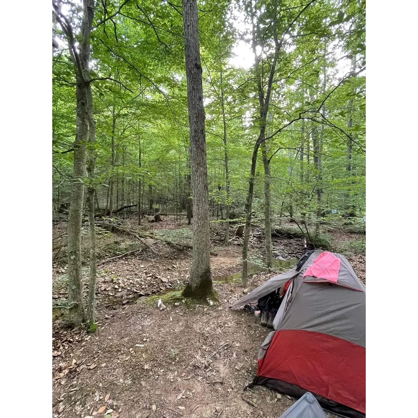 Shawnee Forest Backpacking Trail Camp 4 offers an idyllic camping experience for outdoor enthusiasts seeking to immerse themselves in the serenity of nature. Strategically placed along a well-loved hiking trail, this camp provides an optimal blend of convenience and tranquility. Adjacent to the campsite, a mere stone's throw down the trail, campers will find a reliable water source, ensuring easy access to hydration and the soothing sounds of nature.

Visitors can look forward to a restorative retreat in a beautifully maintained area that serves as the perfect base for day hikes and exploring the surrounding wilderness. The camp's prime location makes it an excellent spot for both sunrise and sunset lovers, with spectacular views that paint a memorable backdrop for any outdoor adventure.

Camp 4 is celebrated for its accessibility and has become a favored stopover for backpackers who appreciate the well-thought-out placement of the site. With its combination of natural beauty, practicality, and peaceful atmosphere, Shawnee Forest Backpacking Trail Camp 4 is a splendid pick for hikers wanting to recharge amidst the splendor of a lush forested environment. Description by ChatGPT.