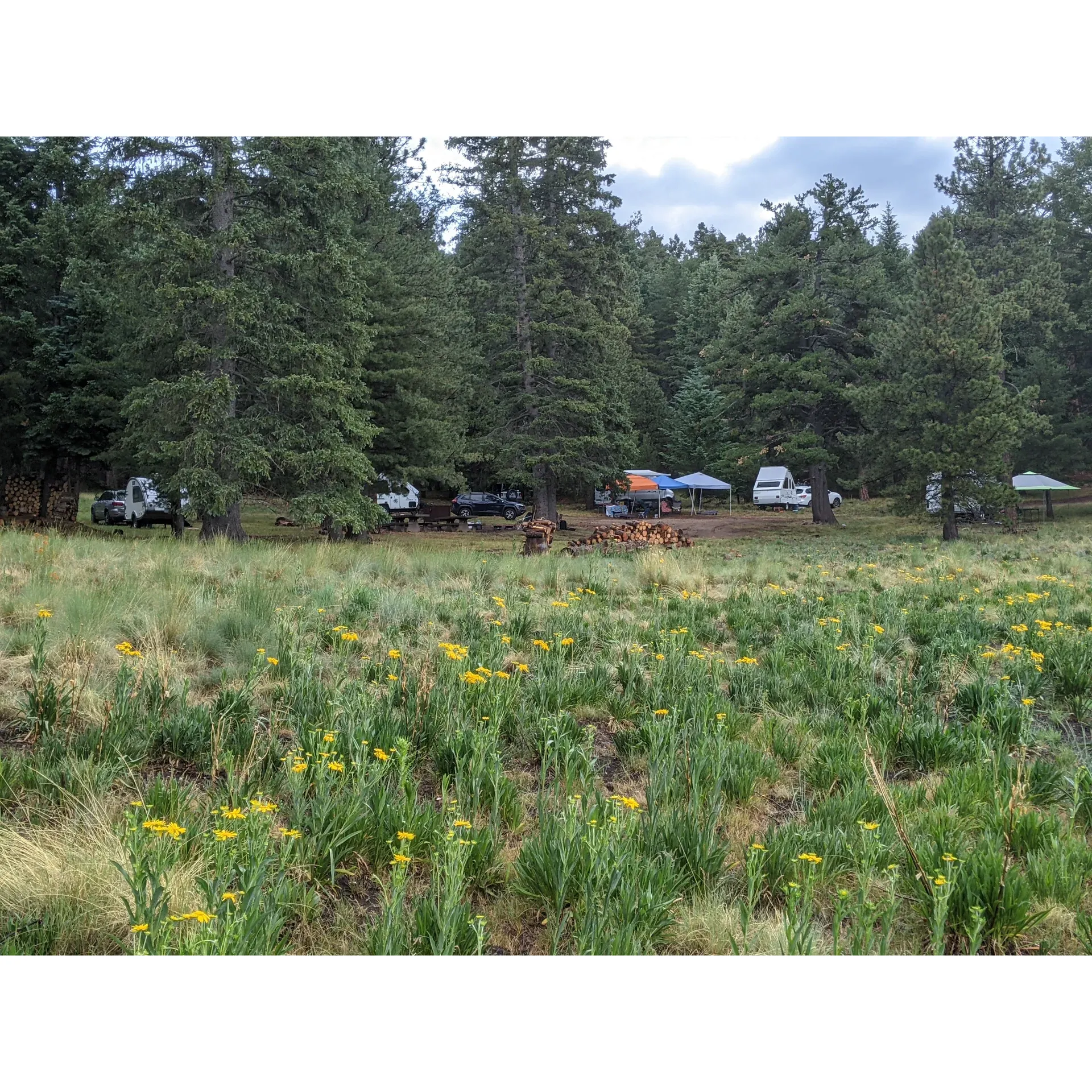 Treasure Park - NORTH emerges as a premier destination for groups seeking an unforgettable camping experience amidst the rejuvenating power of nature. Embraced by a landscape in the midst of natural restoration, this park offers campers a unique opportunity to witness the resilience and rebirth of the environment following recent natural events.

A favorite among outdoor enthusiasts, Treasure Park - NORTH boasts spacious and well-maintained campsites that can comfortably accommodate both small gatherings and larger assemblies. Each site offers ample room for tents, campfires, and communal activities, ensuring that memories created here are as expansive as the great outdoors.

Visitors frequently commend the park's serene ambiance, which makes it an ideal setting for those wishing to disconnect from the bustle of urban life and reconnect with the tranquility of the wilderness. As the gentle whispers of the wind weave through the recovering foliage, campers find themselves captivated by the park's enduring beauty and the promise of nature's rebirth.

The park is also highlighted for its dedication to sustainability and conservation. The management's efforts to facilitate the area's ecological recovery are evident, allowing guests to engage in eco-friendly camping practices and become stewards of the environment during their stay.

Offering an array of recreational opportunities, Treasure Park - NORTH provides visitors the chance to indulge in outdoor adventures. From star-gazing in clear night skies to exploring scenic trails that showcase the landscape's transformation, there's an activity suited for every taste and ability.

Treasure Park - NORTH stands as a testament to the enduring spirit of nature, presenting groups with not just a camping ground, but a venue for growth, bonding, and the creation of lasting memories under the canopy of a revitalizing environment. It truly is a gathering place where the beauty of the wilderness and the warmth of companionship are in harmonious alignment. Description by ChatGPT.