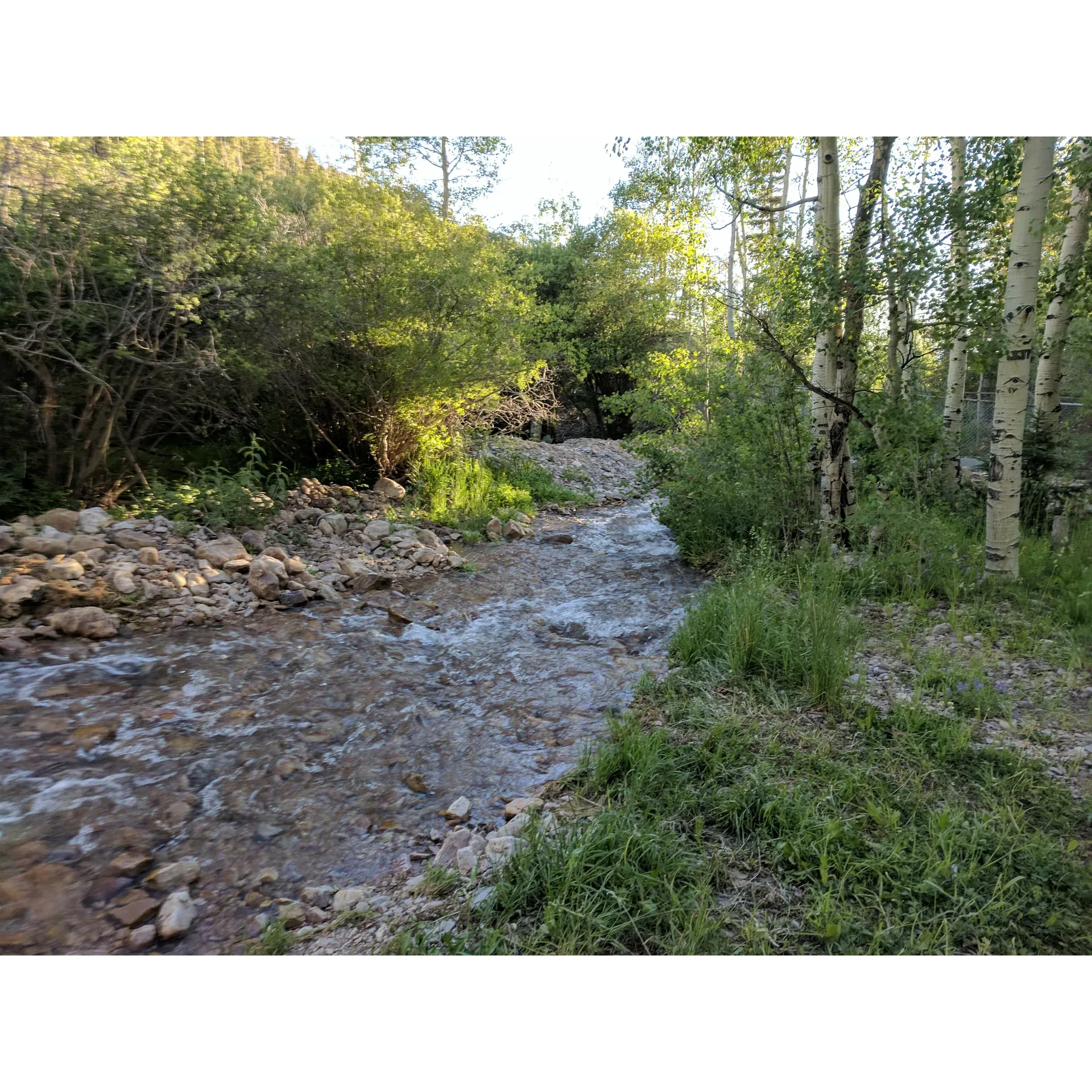 Timber Creek Campground offers an exceptional outdoor experience for families and adventurers alike. Known for its bewitching beauty, this campground promises unforgettable memories with picturesque views of mountains, enchanting bird songs, and the serene soundtrack of a babbling creek. It's a magnificent natural retreat that invites you to fall asleep to the soothing sounds of nature and wake to breathtaking sunrises.

Perfect for keeping kids engaged, Timber Creek Campground boasts ample open-air spaces that serve as a natural playground under the expansive starry night skies. Guests appreciate the well-maintained facilities, including clean restrooms and picnic tables in top condition, enhancing the comfort of their stay. Attentive camp tenders regularly check in to ensure the site remains pristine and welcoming.

Positioned away from the hustle and bustle of the road, tranquility envelops the area, complemented by the quiet murmur of the nearby creek. The campground is situated at an altitude that offers refreshing coolness during evenings, making it a refreshing summer getaway.

For those seeking solitude and adventure, Timber Creek Campground’s location in a narrow canyon amidst dense forests presents a unique opportunity. Although removed from the immediacy of city life and free from the distractions of cell signals, it's a small, intimate setting ideal for both group camping and individual spots, catered to outdoor recreation vehicle enthusiasts.

Whether you're an avid angler, a stargazer, or simply a lover of nature, Timber Creek Campground is a hidden gem that promises a pristine natural environment, with running water and pit toilets thoughtfully placed for convenience. Embrace the tranquil beauty and immersive outdoor experience that awaits at this treasured destination. Description by ChatGPT.