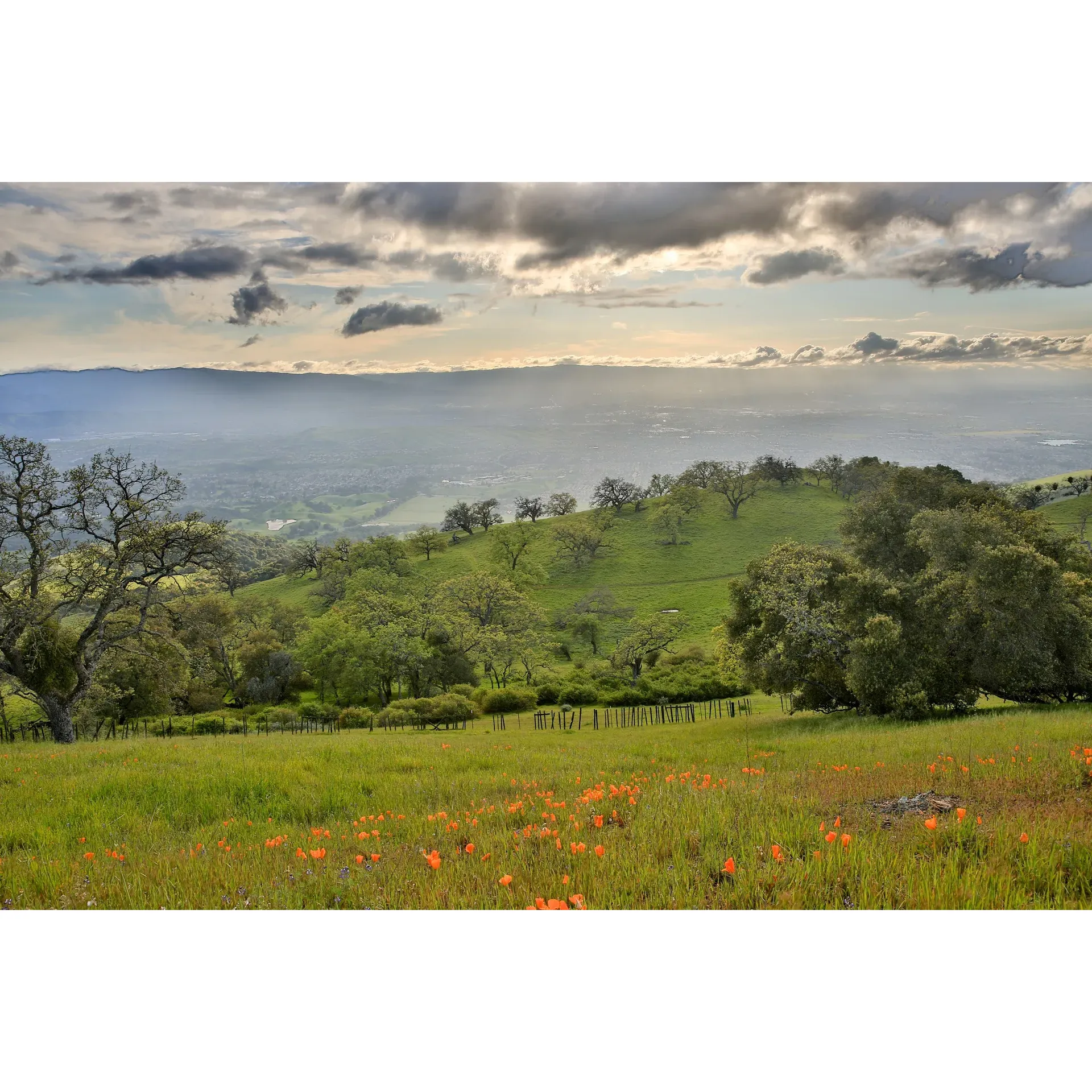 Joseph D. Grant County Park offers an exceptional outdoor experience for enthusiasts who delight in a variety of activities amidst the enchanting beauty of the great outdoors. Mountain bikers rave about the park's suitability for their adventures, finding the trails both challenging and exhilarating. Nature lovers cherish the serene ambiance the park exudes, especially on weekdays like Friday when the crowds are sparse, allowing for a more intimate connection with the surroundings.

Hikers are particularly drawn to the park for its expansive trails that weave through the picturesque landscape. The breathtaking vistas of Mount Hamilton can be seen from various points within the park, providing a gratifying reward for those ascending its paths. Vibrant wildlife, including the sightings of gorgeous lakes that act as mirrors reflecting the sky and flora, invites visitors to take a moment and immerse themselves in the environment's natural harmony.

The facilities at Joseph D. Grant County Park contribute to its appeal, with clean restrooms available to accommodate the needs of guests who spend their days exploring the picturesque parkland. It's a year-round destination, welcoming visitors to witness the changing seasons unfold within this slice of nature's paradise.

Adventurers who are up for a thrilling experience can tackle the Antler Point trail, which at 4.5 miles to the summit—and a 9.9-mile loop option on the descent—offers a challenging journey worth the effort. Early risers are recommended to embark on this trek to enjoy cooler temperatures and avoid the midday sun. As hikers ascend the path, it’s essential to remain alert for the local wildlife that calls this park home, including family groups of wild pigs, adding an exciting element to the wilderness exploration.

Joseph D. Grant County Park is an amazing haven waiting to be discovered. Whether you're sipping coffee by the lake soaking in the stunning panorama, climbing to new heights on the scenic trails, or encountering wildlife in its natural habitat, an adventure here is sure to leave you with memories to last a lifetime. Prepare to be captivated by its diverse landscape and the peaceful yet adventurous spirit that the park embodies. Description by ChatGPT.