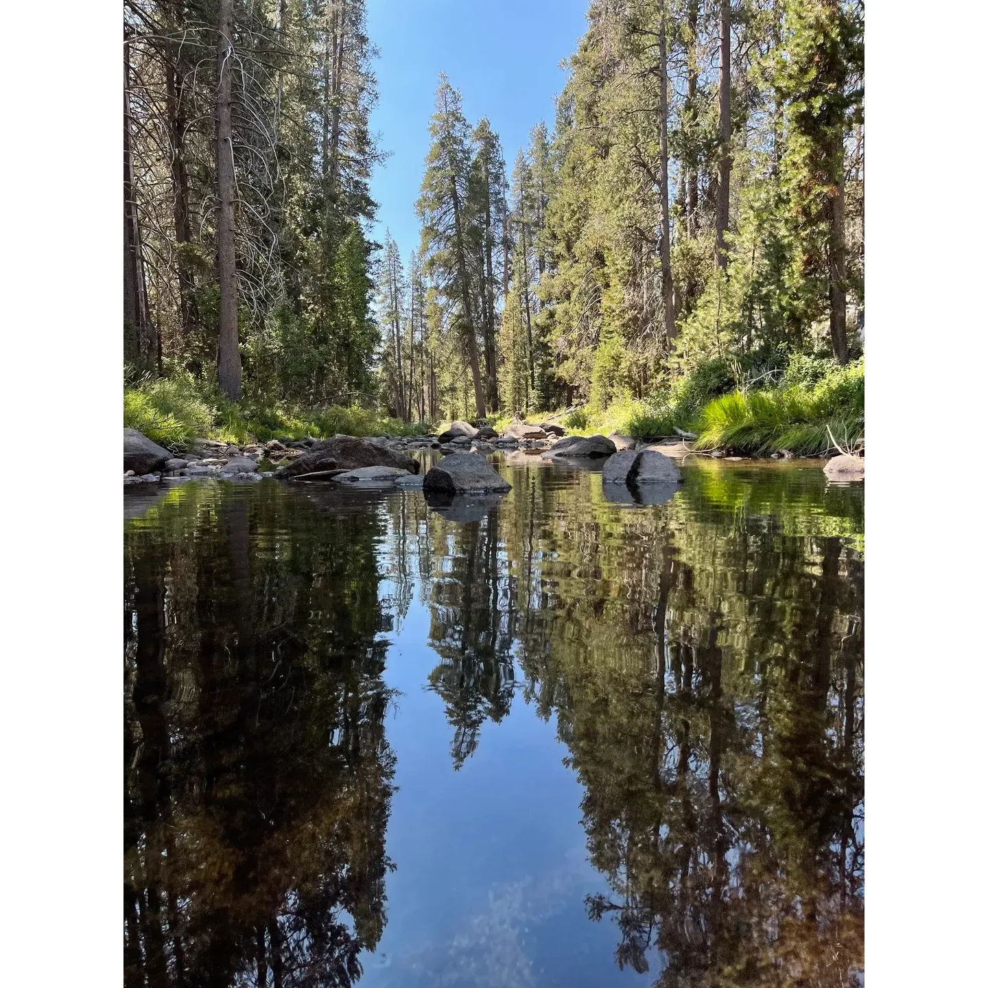 Yosemite Creek Campground offers an array of tranquil camping experiences for outdoor enthusiasts and families alike. With its ample selection of campsites, visitors often find the perfect spot to set up their temporary home amidst the serenity of nature, many of which are located right along the refreshing creek that also serves as the campground's water source. The creek's gentle babbling provides a soothing soundtrack to an authentic wilderness escape.

The absence of expansive views is compensated by a modest rock hill, inviting a short climb that rewards adventurers with a unique vantage point of the surrounding area. For those seeking to connect with the great outdoors, the rugged approach to the campground via a two-mile road that transitions into a three-mile trail offers a sense of adventure before even arriving at the campsite, hinting at improvements that enhance accessibility for future visitors.

During special times like Labor Day weekend, the campground basks in perfect weather with warm days and crisp, star-filled nights, drawing sky gazers and peace seekers. The campground's well-maintained cleanliness stands out, thanks to the dedicated park rangers who also extend helpful assistance to guests, contributing to a welcoming and safe environment. Spacious and plentiful, the campsites cater to diverse groups, from first-time family campers to seasoned outdoor buffs.

Just a mile from the legendary Yosemite Falls trail, a hidden gem awaits—an enchanting tree marking the pathway to a secluded river spot. Here, families can indulge in the calming presence of water, a refuge for children to play safely under the nurturing gaze of nature. Meanwhile, the proximity to the life-giving river calls for ample mosquito repellent to ensure a comfortable and uninterrupted outdoor experience.

Whether celebrating special occasions or seeking a peaceful retreat under the stars, Yosemite Creek Campground captivates hearts with its simple charm and the promise of cherished memories. It's a place where the excitement of a first camping trip is etched into the minds of children, fueling their anticipation for the next family adventure in the great outdoors. This revered sanctuary in the wild truly ranks among the best places to camp, providing an invitation to all who yearn for nature's embrace. Description by ChatGPT.