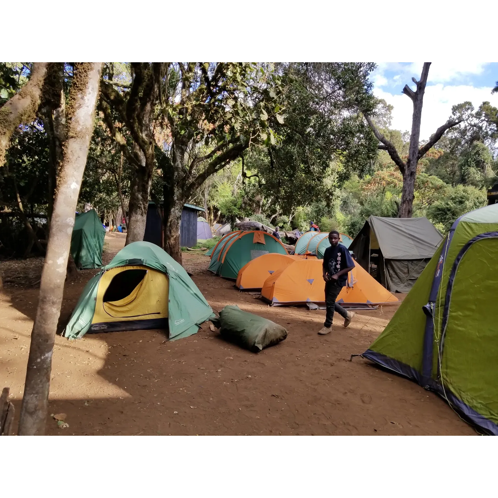 Big Tree Camp is an essential starting point for adventurers embarking on the Lemosho route to conquer the heights of Mt. Kilimanjaro. It marks the end of an invigorating first day hike through lush environments, a journey often teeming with the rich green canopy of the surrounding rainforest. Trekkers here will experience the unique and spirited sounds of nature, as the canopy comes alive with Colobus monkeys playfully calling from the trees, birds singing their twilight melodies, and the buzz of excitement from fellow climbers and the crew echoing through the camp.

This site presents an authentic outdoor experience where explorers can take pleasure in the camaraderie that comes with trekking, sharing stories and laughter well into the night. As your trusted porters expertly set the stage with separate tents for sleeping, cooking, and dining against the vibrant backdrop of jungle flora, each traveler can find solace in their own cozy dwelling or join in the communal revelry.

The remarkable atmosphere at Big Tree Camp provides an unparalleled opportunity to immerize oneself in the beauty of the wilderness, right on the doorstep of Kilimanjaro's majestic peak. Here, visitors can step outside of their tents to become part of a vivid, organic panorama, breathing in the fresh mountain air and absorbing the verdant surroundings that signal the start of an extraordinary adventure. Description by ChatGPT.