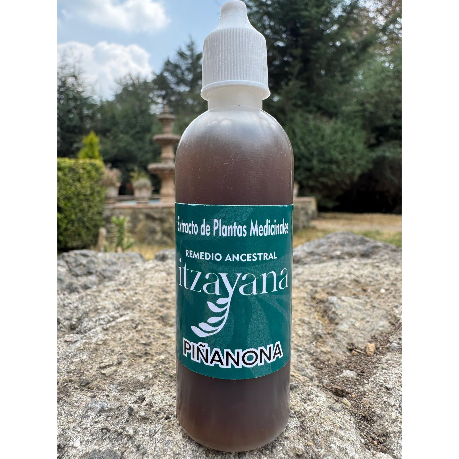 Discover the Benefits of PINANONE TINCTURE for your Health! PINANONE TINCTURE is a natural product that takes advantage of the mature pulp of the plant, known for its multiple properties for skin care and general health. This dye is ideal for treating skin blemishes, acne, pimples, and for healing rough areas such as heels or elbows.