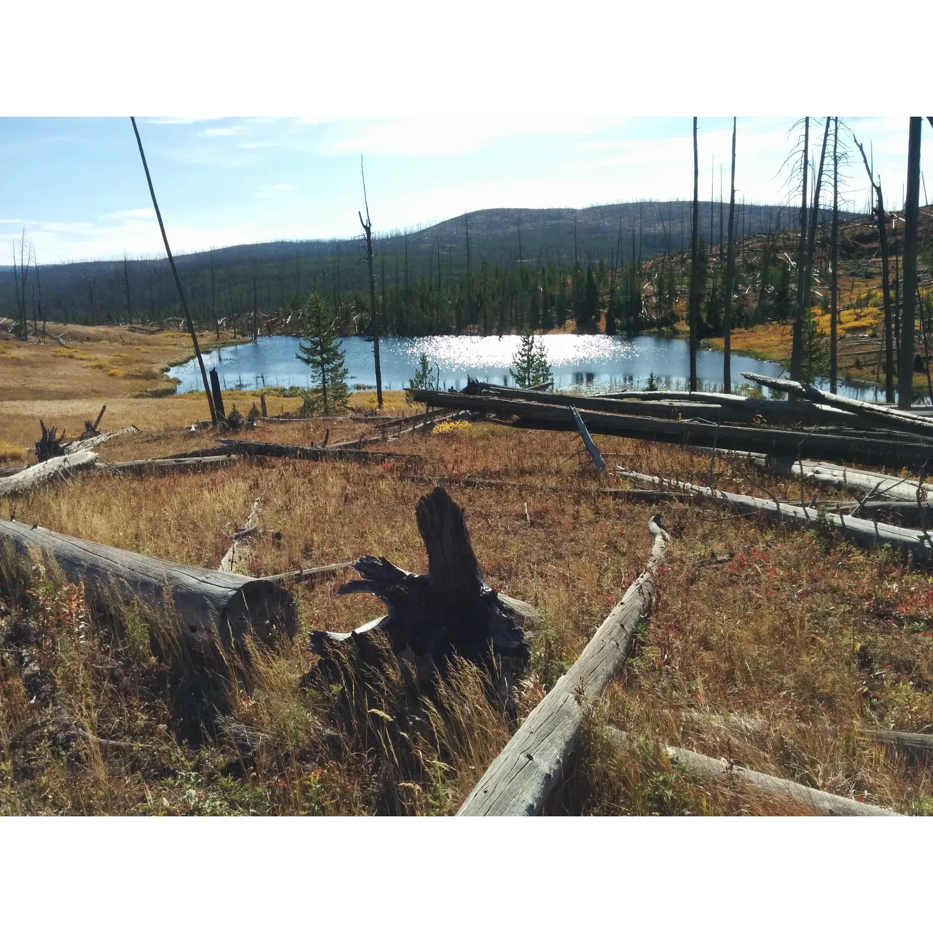 Monument Camp is a popular backcountry camping site located within Yellowstone National Park in Wyoming. The camp is situated in a remote and pristine area, offering visitors a true wilderness experience. Monument Camp is known for its stunning views of the surrounding mountains and forests, as well as its proximity to nearby hiking trails and wildlife viewing opportunities.

The camp can be accessed by hiking or horseback riding, making it an ideal destination for outdoor enthusiasts looking to escape the hustle and bustle of everyday life. Visitors can enjoy activities such as fishing, birdwatching, and photography while staying at Monument Camp. It is important to note that all visitors must obtain a backcountry camping permit from the park in order to stay at the camp, as facilities are limited and reservations are required.

Overall, Monument Camp offers a unique and unforgettable camping experience in the heart of Yellowstone National Park. With its natural beauty and peaceful surroundings, it is the perfect choice for those looking to truly immerse themselves in the wilderness. Visitors can look forward to a tranquil and rejuvenating stay at Monument Camp. Description by ChatGPT.