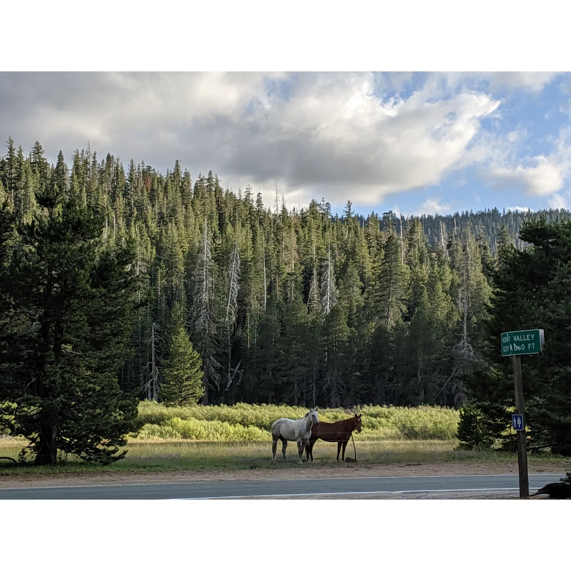 Hermit Valley Campground offers a spectacular outdoor experience for adventure enthusiasts and nature lovers alike. With an idyllic location that serves as the trailhead for the acclaimed Deer Valley Trail, this campground is the perfect setting-off point for explorers seeking a taste of wilderness adventure. While the amenities are modest, the campground's simplicity is part of its charm, leaving the majestic beauty of the area unspoiled by excess.

Generations of families, some spanning over six decades, have returned year after year to this scenic retreat, cementing its legacy as a beloved family tradition. Visitors are often struck by the pure serenity and divine beauty of the landscape, a testament to the grandeur of nature's handiwork. The towering trees and the gentle sounds of the flowing river create an enchanting atmosphere, sure to provide a backdrop for unforgettable memories.

Hermit Valley Campground presents visitors with the opportunity to truly immerse themselves in the great outdoors. While the offerings are straightforward and unembellished, they are ideal for guests looking to optimize their time connecting with nature and embarking on the myriad of adventures that the surrounding wilderness presents. Whether it's the thrill of off-roading enthusiasts exploring the terrain or the serene pleasure of a family gathering under the expansive starry sky, the campground provides a diverse range of experiences catered to an array of outdoor preferences. Description by ChatGPT.