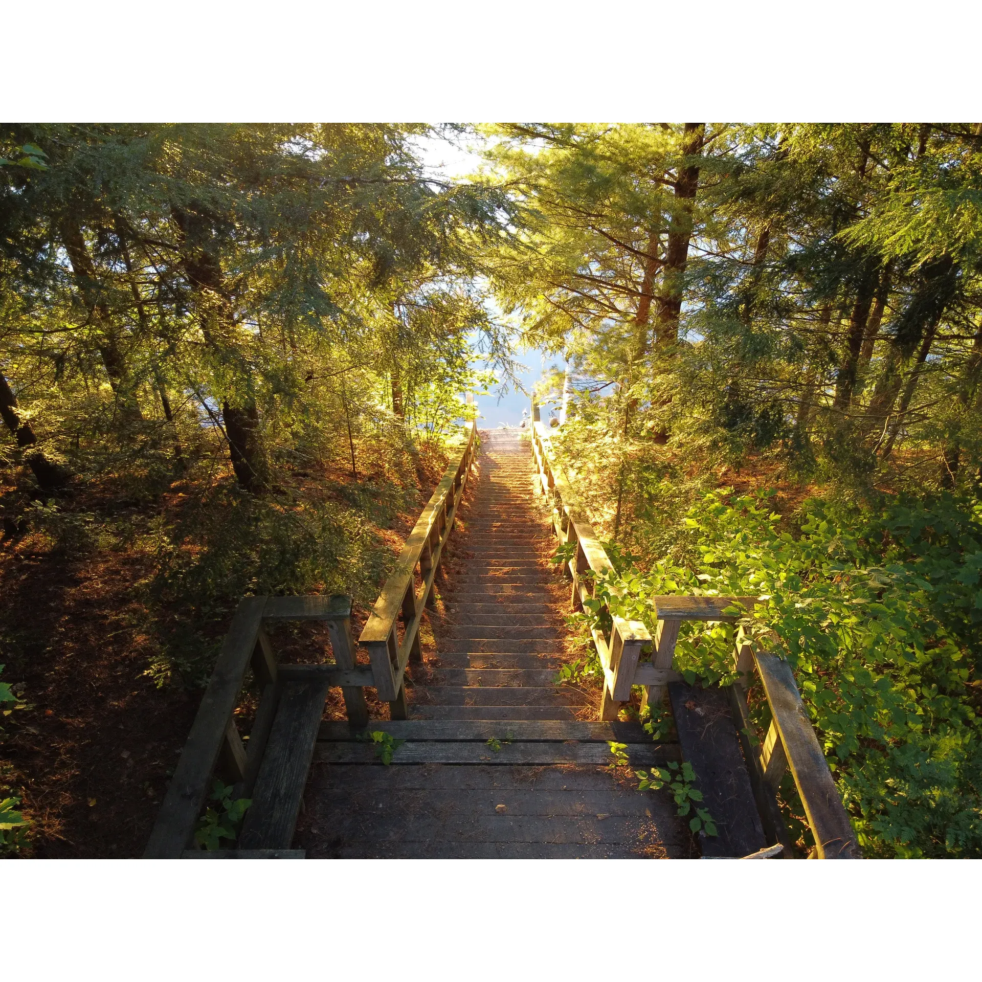 Wabasso Lake Campground provides an idyllic retreat for camping enthusiasts looking for an authentic back-to-nature experience. With its tranquil surroundings and affordable pricing, this US Forest Service campground stands out as a prime destination for those in search of serenity and outdoor adventure.

The campground, accessible via a scenic short drive from Lac du Flambeau, is surrounded by the serene beauty of the forest, offering visitors a restorative escape devoid of the hustle and bustle of modern life. Campers can appreciate the seclusion and quiet, as the absence of RVs and generators ensures the natural sounds of the wilderness take center stage.

With the convenience of parking at the nearby boat landing, visitors have the unique option to either walk or boat to their selected campsite. The eastern campsites, while reachable on foot, offer a unique adventure for those arriving by boat. Complemented by the forest's rich tapestry of fauna, the campground is revered for its privacy, with well-spaced campsites offering ample room to unwind and immerse in the natural setting.

Camping fees are remarkably economical, offering an overnight stay at a fraction of the cost of neighboring campgrounds. The accessibility and affordability make this scenic retreat an excellent choice for extended stays and last-minute getaways alike.

Each campsite comes equipped with essential amenities such as a picnic table and fire ring, allowing for cozy campfires and outdoor dining amidst the breathtaking backdrop of Wabasso Lake. While the shoreline may present lush vegetation, the lake is a haven for fishing aficionados and lovers of non-motorized boating, presenting a serene setting for paddling and reconnecting with nature.

The surrounding wilderness is alive with wildlife activity – from beaver constructions to the occasional sighting of wolves and fishers, presenting nature enthusiasts with an opportunity for wildlife observation and photography.

For those unbothered by the seasonal presence of mosquitoes, a Thermacell butane bug repellent is recommended to enhance comfort. Local markets in nearby Lac du Flambeau and Woodruff offer the convenience of supplies and firewood, ensuring campers are well-prepared for their outdoor adventure.

Ultimately, Wabasso Lake Campground offers a peaceful, picturesque haven for outdoor lovers. Its combination of pristine natural beauty, affordability, and privacy makes it an appealing choice for those who revel in the simplicity of rustic camping and the allure of the great outdoors. Description by ChatGPT.