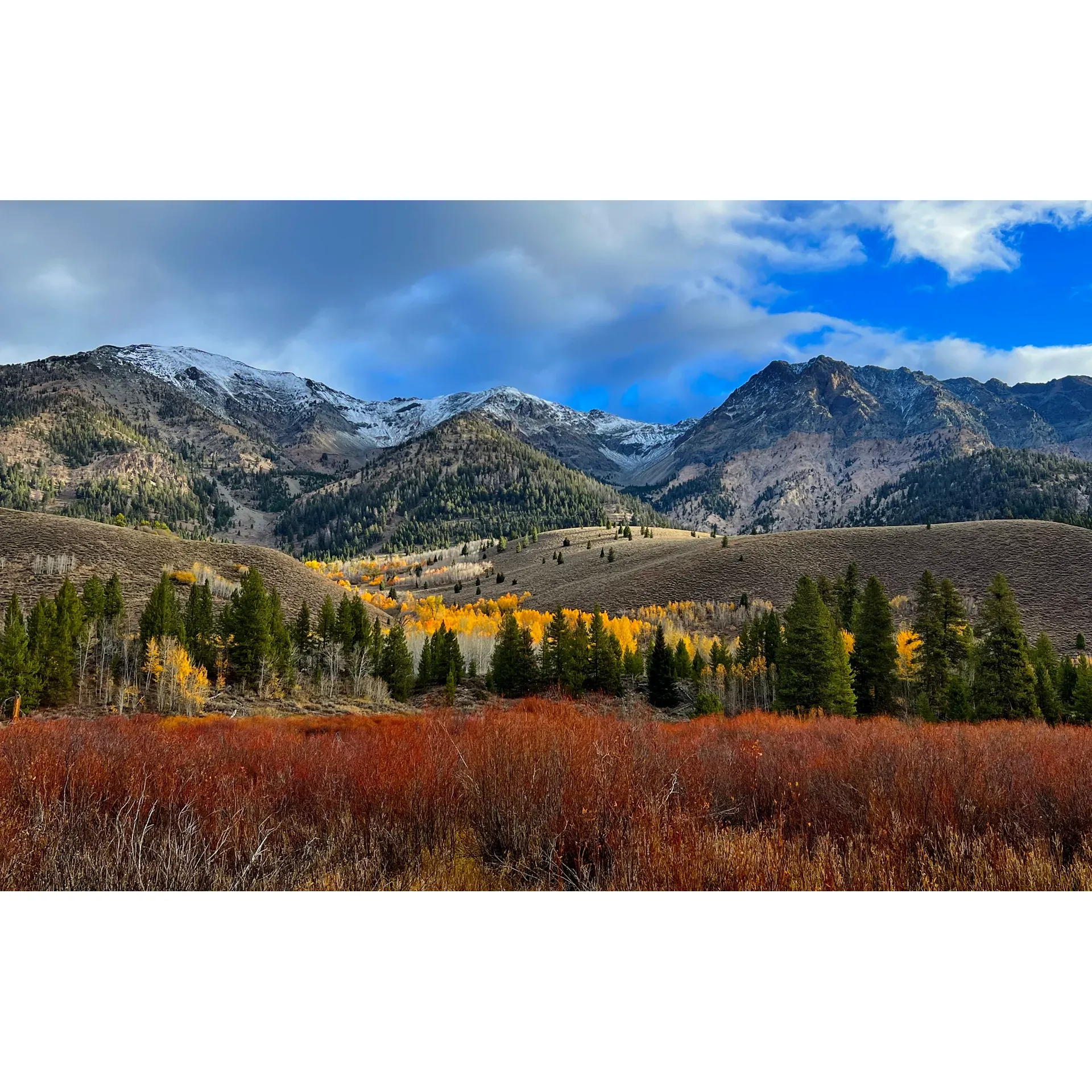 Prairie Campground offers a serene and picturesque escape for outdoor enthusiasts with its commitment to environmental stewardiness. Ideally situated right along a bubbling creek, this idyllic setting presents an incredible backdrop with majestic mountains in view, providing campers with an accessible spot to enjoy nature's splendor. Emphasizing the beauty of simplicity, the campground is a perfect example of dry camping where adventurers can take full advantage of a traditional experience.

Visitors will appreciate the well-maintained grounds and the facility's cleanliness, which includes a convenient vault toilet located at the south end of the loop for added comfort. Whether seeking solace for a day or embracing the wilderness for the full 16-day stay limit, guests are sure to cherish their time spent at Prairie Campground amidst the tranquility.

Prairie Campground has demonstrated a commitment to preserving the natural environment, initiating a reclamation project to revitalize the landscape – a testament to their dedication not just to campers' present enjoyment but also to the conservation of Idaho's lands for future generations. This beautiful refuge, especially during the fall season, offers proximity to town amenities while still allowing for an intimate connection with nature, where the silence is only broken by the gentle sounds of the nearby creek, crafting an ideal haven for those seeking a peaceful retreat. Description by ChatGPT.