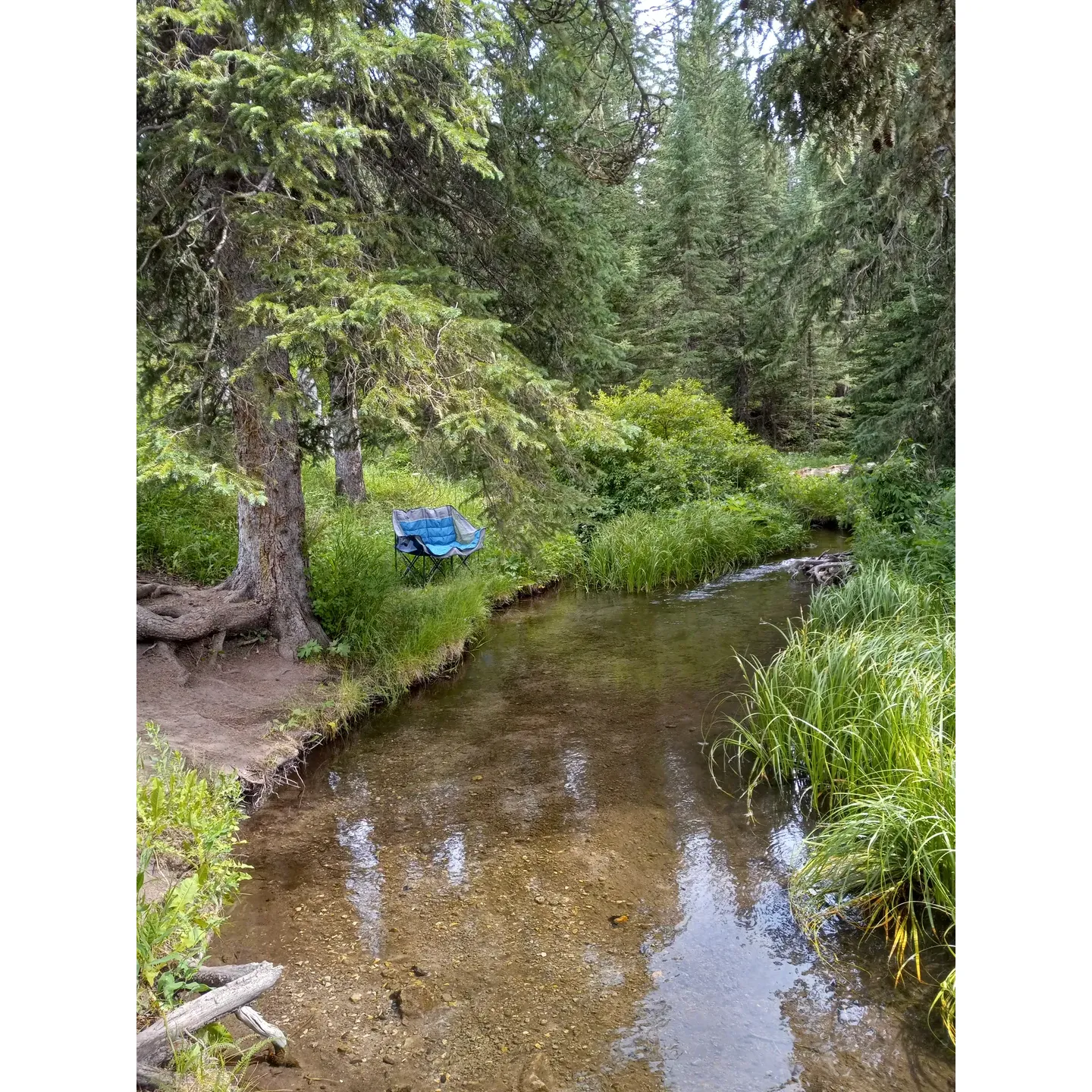 Beaver Creek Campground is a beautiful outdoor retreat perfect for campers seeking a blend of serenity and outdoor recreation. Staffed by a dedicated and exceptional team, guests continually praise the helpful and friendly service, often highlighting individuals like Clay who go above and beyond to ensure a memorable stay.

Crafted with care, the campground's grounds are meticulously maintained, offering a pristine environment that reflects the natural beauty of the surrounding area. The cleanliness extends to the facilities, with restrooms that are well-kept, ensuring a comfortable and hygienic stay for all guests.

For those with a passion for fishing, Beaver Creek Campground has a storied history of providing an excellent angling experience, a tradition that has been fondly remembered by visitors since the early 1960s. The creek adjoining the campsite is not just a source of fantastic fishing; it also offers a tranquil backdrop for many of the sites, creating a picturesque setting for relaxation or a meal in the great outdoors.

The campground offers an atmosphere of peace and tranquility, particularly from Monday to Thursday when it is a haven for those looking to escape the hustle and bustle. As the weekend approaches, the campground becomes a vibrant community of nature enthusiasts.

With its remote location, Beaver Creek Campground is an ideal destination for those looking to combine the feeling of an untainted wilderness experience with the comfort of clean and accessible facilities. Whether you're looking to immerse yourself in the stillness of nature or engage in recreation by the creek, this campground provides the perfect balance for an idyllic outdoor adventure. Description by ChatGPT.