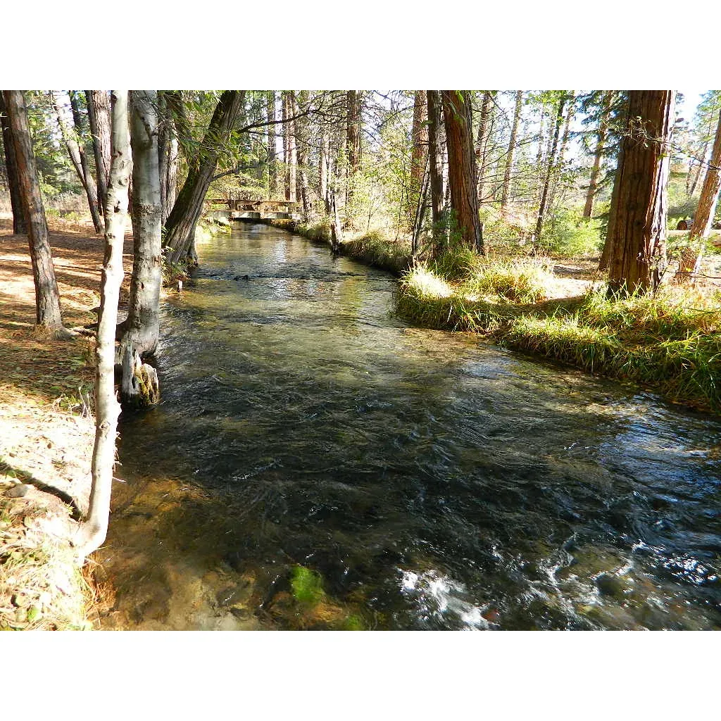 Honn Campground offers an idyllichideaway for outdoor enthusiasts and nature lovers. Located conveniently close to major access points, it serves as the perfect base for fishing expeditions, with easy access to Hat Creek as well as the picturesque Baum and Crystal Lakes. The proximity to the highway ensures hassle-free connectivity, making it just a short drive away from the nearest town's shopping facilities, Lake Britton, and the state park. 

The sites are graced with a year-round flowing creek, providing a melodic backdrop to your stay and offering excellent fishing opportunities, particularly with the anticipation of a bountiful trout season. Enhanced by the ample shade provided by the lush canopy, even in the height of summer, this tranquil escape remains cool and inviting. 

Despite its modest size, with only six camping sites, Honn Campground delivers a sense of seclusion and peacefulness. Its quick turnover means there's always a chance for newcomers to enjoy this gem, even if for a short stay. The campground attracts a friendly community, with some visitors forging lasting friendships amidst the natural beauty.

Well-maintained facilities, including clean restrooms, add comfort to the rustic charm, and the value is underscored by the affordable camping price. Visitors always have the delight of unwinding by crackling campfires as they share stories or revel in quiet moments. Indeed, for many, Honn Campground remains their favorite spot along Hat Creek, providing a serene, picturesque, and accessible retreat for those looking to soak in the splendor of the great outdoors. Whether you're there to fish, connect with fellow campers, or simply enjoy the solitude, Honn Campground promises an enjoyable and memorable experience. Description by ChatGPT.