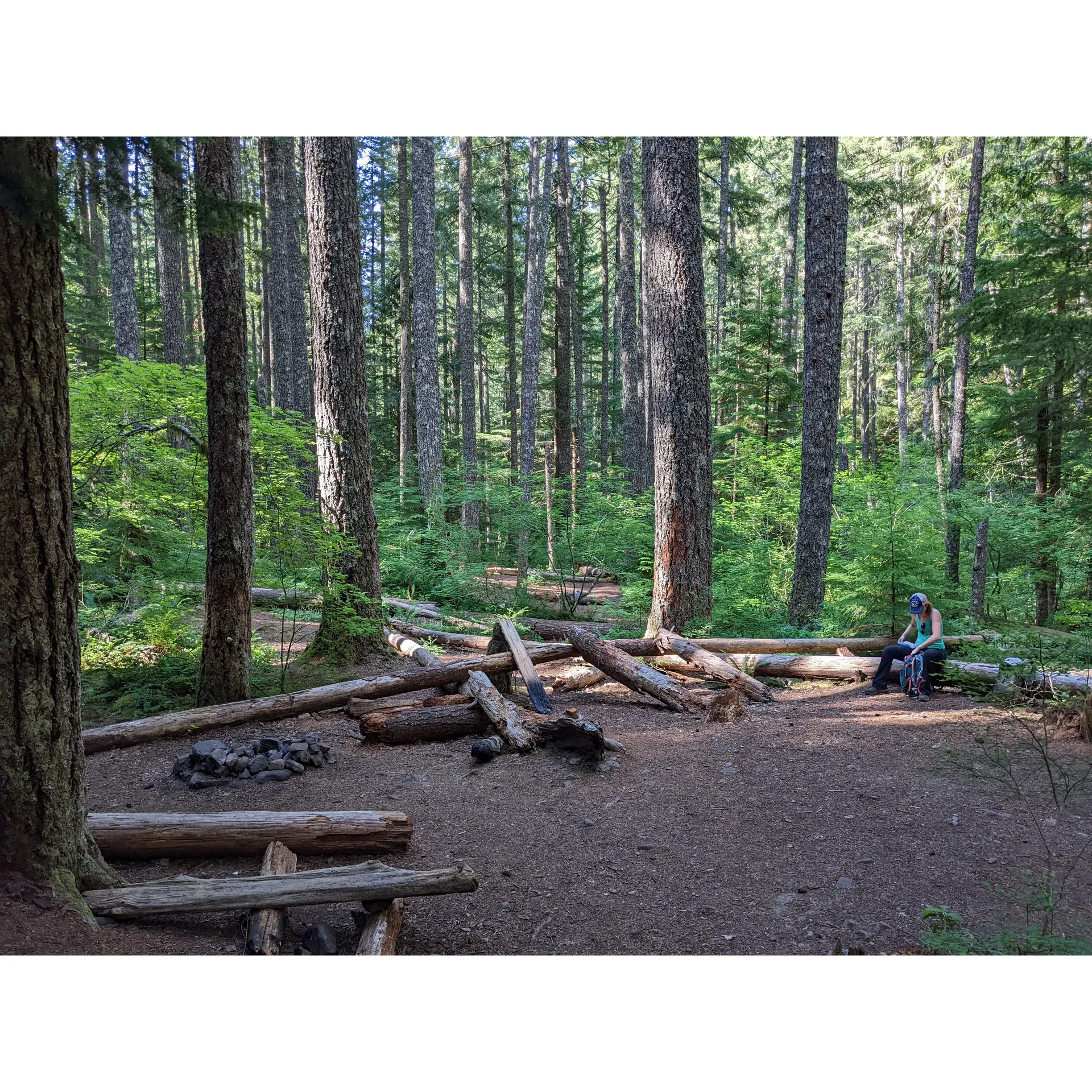 Goat Creek Campground is an idyllic retreat for outdoor enthusiasts seeking a peaceful and invigorating escape into nature. Set along a scenic trail, the campground is the ultimate destination for hikers and campers who enjoy a robust trek, with a rewarding 11-mile roundtrip hike and a substantial 2,400 feet of vertical gain testing the stamina of its visitors.

Upon arrival at Goat Creek Campground, guests are greeted by a serene area that effortlessly accommodates up to a half dozen tents, offering ample space for visitors to set up their temporary homes amidst the tranquility of the wilderness. Whether you're a lone adventurer seeking solitude or part of a group searching for a communal experience with nature, the campsite provides an excellent base for outdoor activities or simply a place to rest and soak in the surrounding beauty.

With its pristine and untouched environment, Goat Creek Campground delivers an authentic camping experience that is both refreshing and memorable. It is the quintessential spot for those who appreciate the simplicity and charm of primitive camping, combined with the grandeur of mountain views and the melodious sound of a nearby creek. The area's natural splendor is complemented by well-maintained spots perfect for pitching tents and enjoying the camaraderie of fellow nature lovers set against the backdrop of an awe-inspiring landscape. Description by ChatGPT.