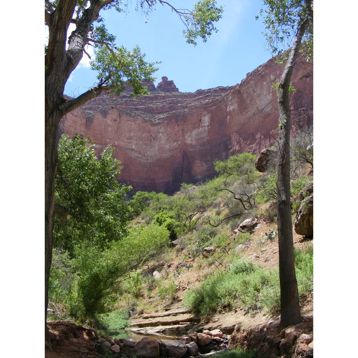 Cottonwood Creek Campsite offers an authentic wilderness experience for the adventurous backpacker. It serves as a crucial oasis along the arduous Tonto Trail, where the crossing of Grapevine Creek provides the sole reliable water source—a precious commodity for hikers navigating this challenging terrain. As a strategic rest point, this campsite is highly valued for its essential hydration station.

Access to this remote enclave is primarily through the Grandview Trail, an unspoiled path less traveled, that promises solitude and an escape from the crowds commonly found in the more frequented western trails. The journey presents a thrilling adventure, as the trail meanders through grand vistas and rugged landscapes.

Perched 4000 feet below the rim, Cottonwood Creek Campsite is a sanctuary where, if fortunate, one can find the spring gently offering its bounty. The area is especially welcoming during the month of April, where water is typically more abundant, making it an ideal time for multi-day hikes requiring reliable water stops.

Campers are treated to nicely laid-out flat grounds, which provide comfortable spots for setting up tents. The site is also graced with decent tree cover, adding a touch of serenity to the camping experience and providing shaded areas to relax after a day's hike.

Those who have spent time at Cottonwood Creek Campsite often reflect on their stays as unforgettable. The tranquility of the area, combined with the natural beauty of the surroundings, creates a camping experience that is both grounding and exhilarating. It is a destination that beckons to the ardent hiker seeking both the challenges and rewards of backcountry exploration. Description by ChatGPT.