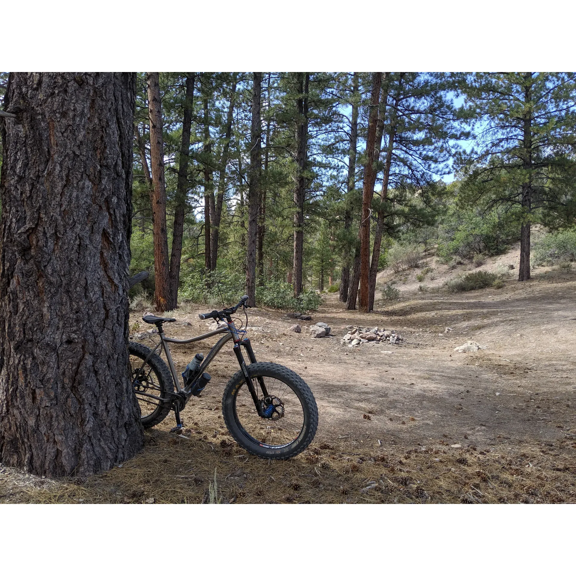 Cabin Pines Campground is the ultimate back-to-nature retreat for outdoor enthusiasts. This exclusive outdoor haven offers a singular campsite that epitomizes rustic charm and simplicity, with three designated tent clearings that remain open until the arrival of winter's blanket of snow. Its 9-mile stretch of a lone dirt road is an adventurous gateway, garnering appreciation for having been recently graded, although it still boasts an authentic, rugged terrain that heightens the experience of reaching this secluded escape. 

Visitors to Cabin Pines Campground can look forward to an authentic wilderness experience, complete with a solitary fire pit that beckons with the promise of crackling fires under the expansive starlit sky. The raw beauty of the surroundings is undisturbed by modern facilities, encouraging campers to come fully prepared to embrace the purity of the outdoors – a gentle reminder that this location prides itself on a minimalistic and environmentally conscious ethos.

The very essence of the campground is captured in its serene environment, surrounded by the whispering trees and the uncomplicated pull of gravity. Here, guests are invited to breathe in the crisp, pure mountain air, offering a respite from the hustle and bustle of daily life. Cabin Pines Campground is more than a destination; it's an experience tailor-made for the true nature lover, the silent adventurer, and anyone seeking to reconnect with the raw beauty of the natural world. Description by ChatGPT.