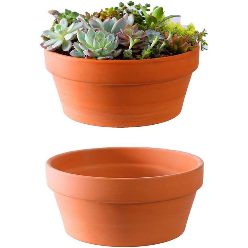 The Yishang Large Terracotta Pots for Succulent are a set of two 10-inch cactus plant containers designed for indoor gardens and bonsai plants. Made from unglazed clay ceramic pottery, these pots provide a natural and rustic look that complements a variety of home decor styles.
